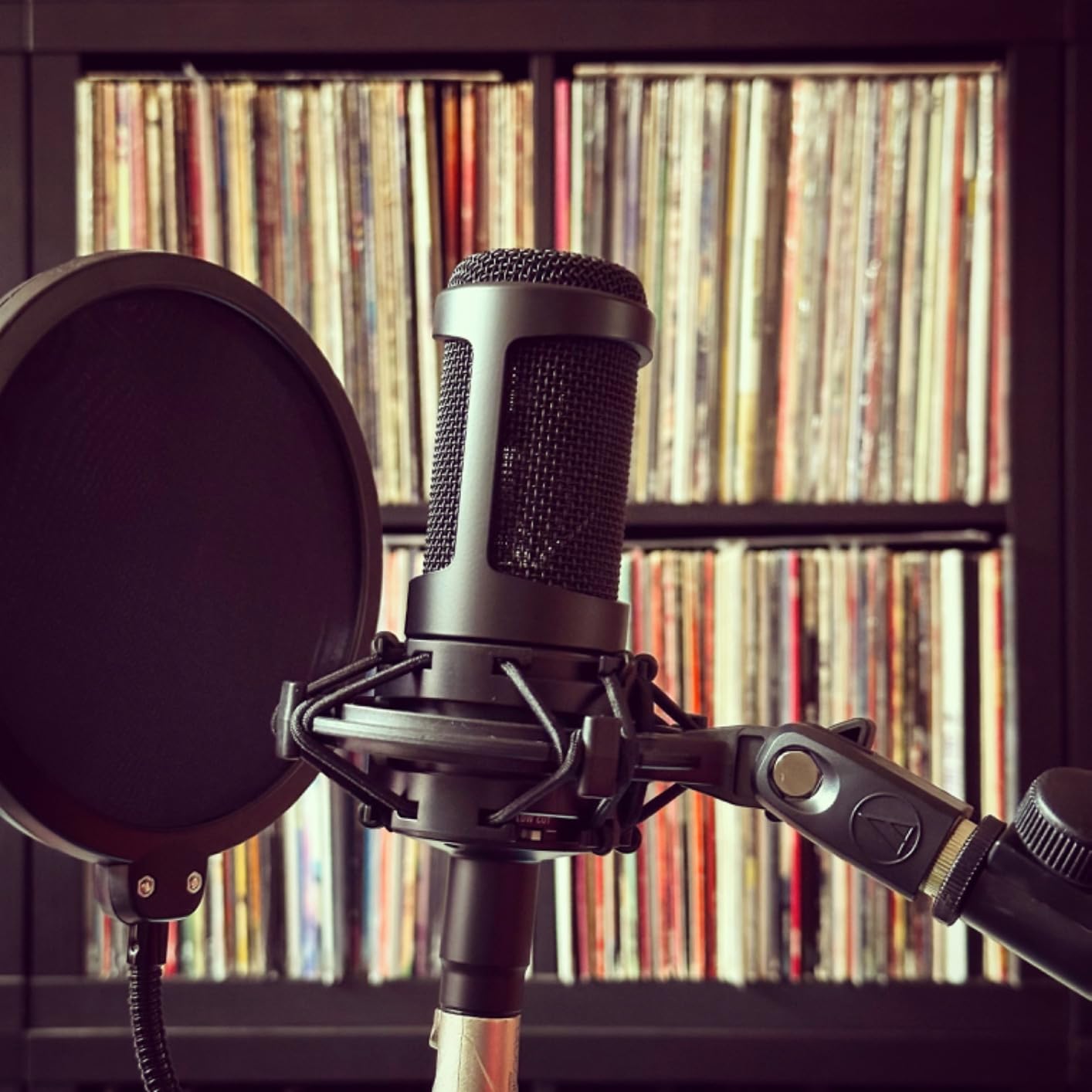Audio-Technica AT2035 Cardioid Condenser Microphone, Perfect for Studio, Podcasting & Streaming, XLR Output, Includes Custom Shock Mount customer photo 1