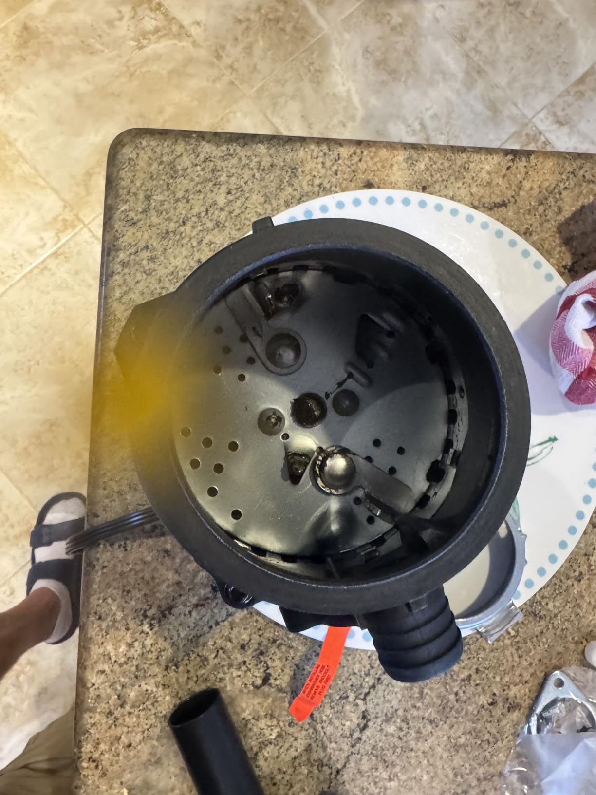 GE Disposall Continuous Feed 1/2 Horsepower Motor Garbage Disposer, Good for Grinding: Cooked Meat, Beans, & Seeds, Easy Install Kit and Power Cord Included, Recommended for 2-4 Person Homes, GFC525N customer photo 1