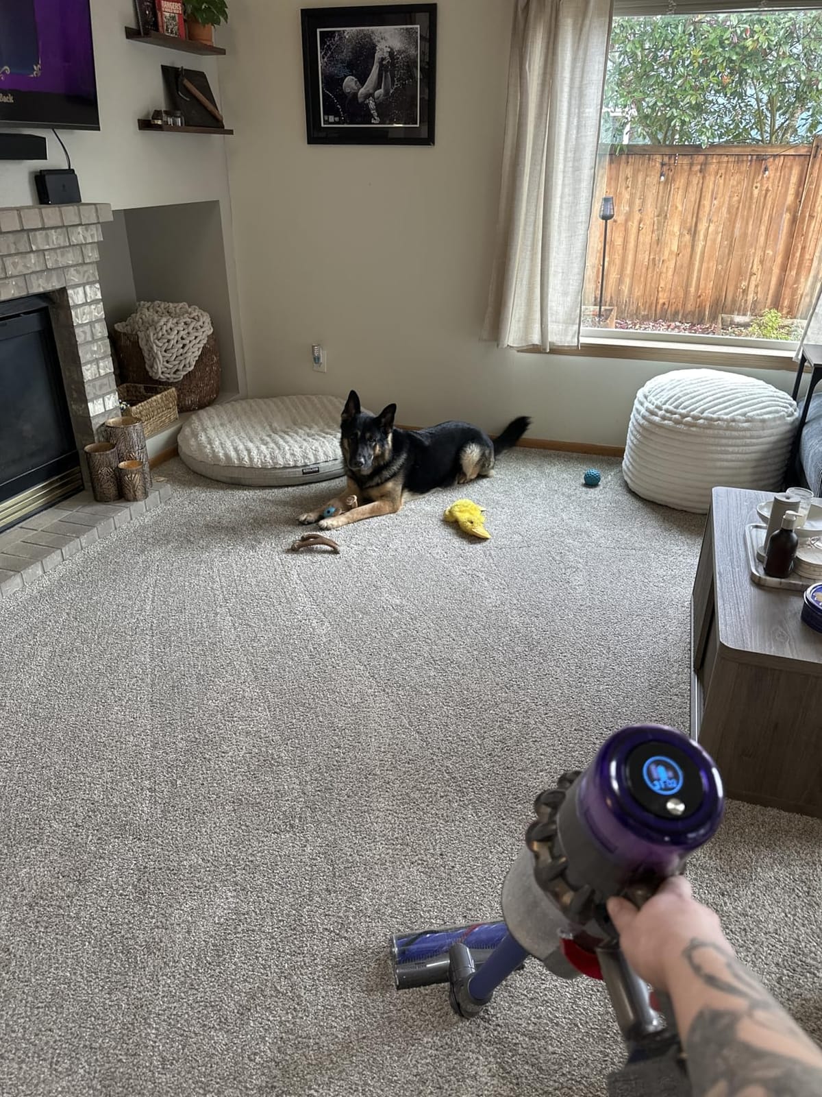 Dyson V11 Origin Cordless Vacuum, 185AW, 3 Power Modes, Up to 60 Minutes, Deep Cleans Hard Floors and Carpets, Detangles pet Hair, Converts to Handheld customer photo 2