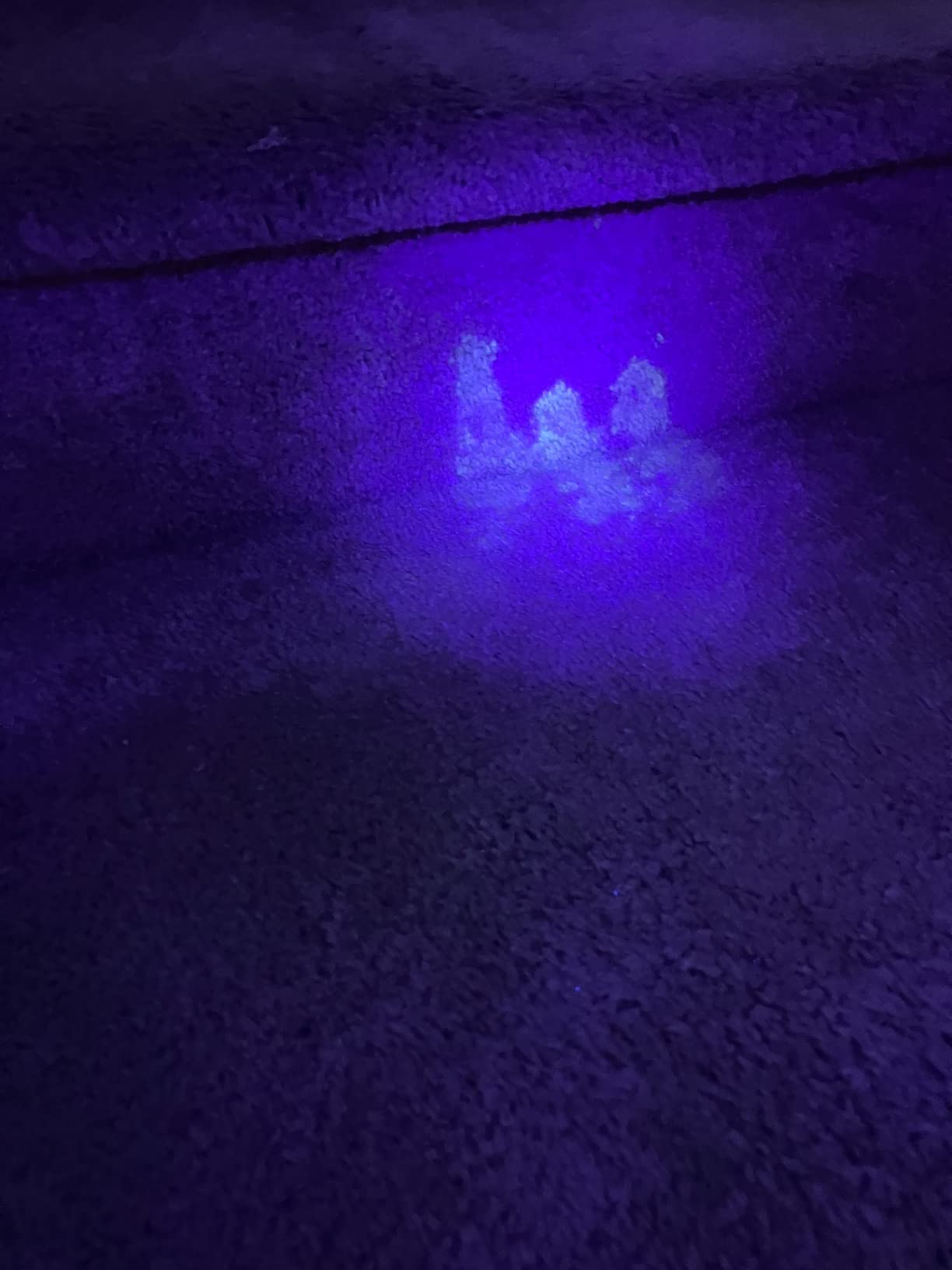 Lepro 395nm UV LED Flashlight, 9 LED Blacklight Detector | Pet urine, stain, bed bug detector. Authenticate currency, IDs. 3 AAA batteries included. Pocket-size, lightweight. customer photo 1