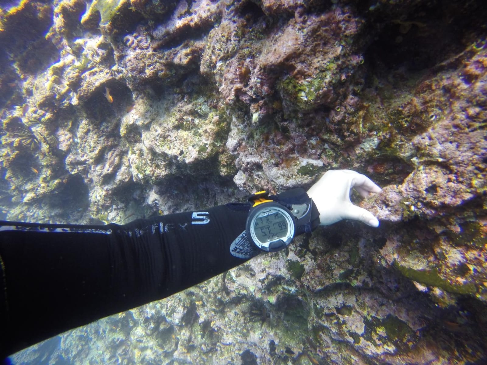 CRESSI Leonardo 2.0 Scuba Dive Watch, Air Nitrox Gauge, Black/Yellow | Dive Computer, Single-Button Control, Visual & Audible Alarm, USB & Infrared Transfer customer photo 2