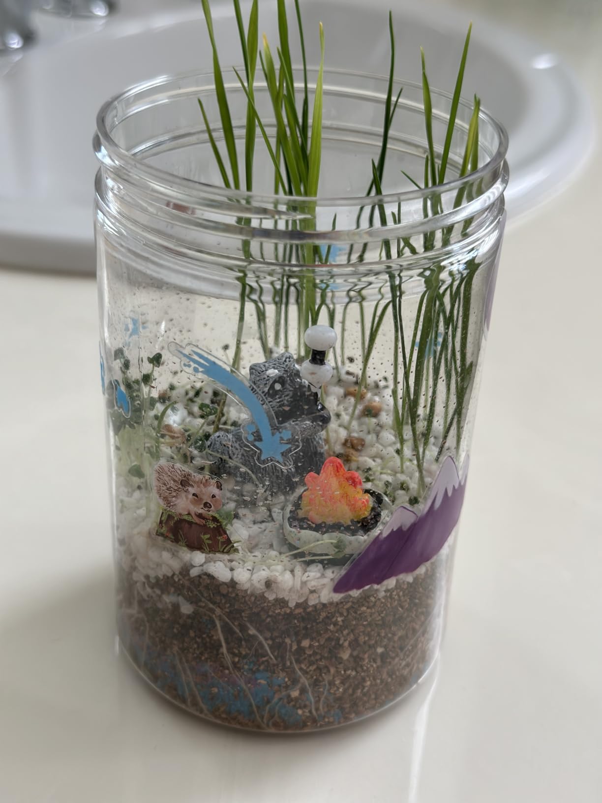 Creativity for Kids Grow 'N Glow Terrarium Kit - Educational Science Kits | Screen Free Summer Fun Activities | Craft and STEM Projects (Ages 6+) customer photo 1