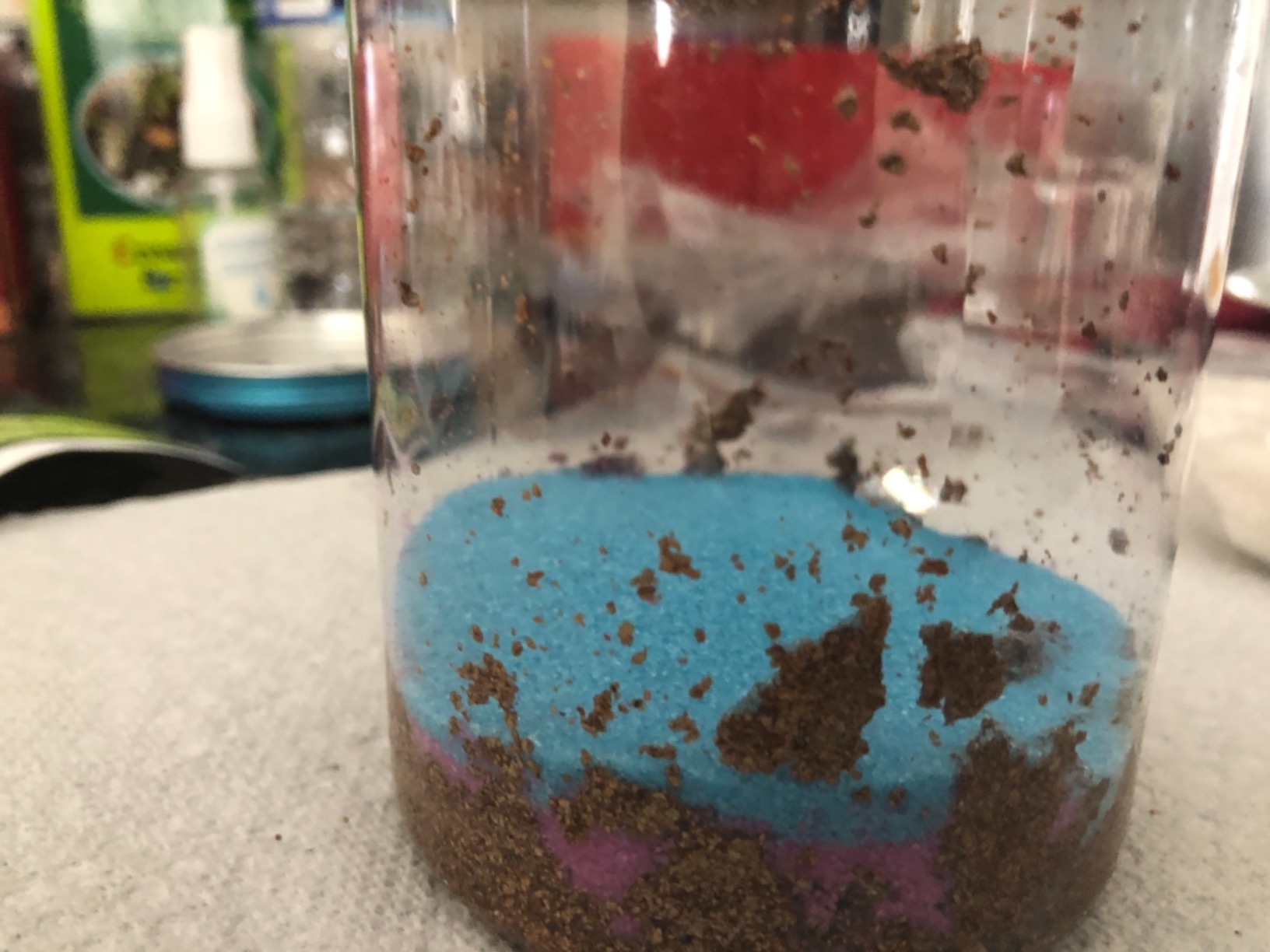 Creativity for Kids Grow 'N Glow Terrarium Kit - Educational Science Kits | Screen Free Summer Fun Activities | Craft and STEM Projects (Ages 6+) customer photo 2