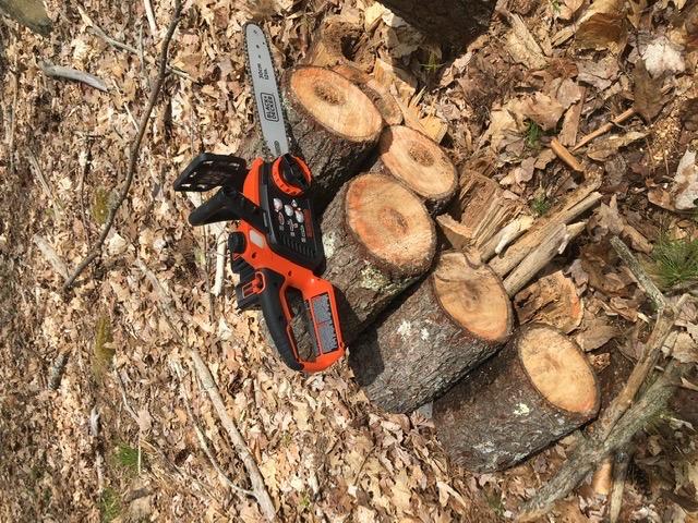 BLACK+DECKER 40V MAX Electric Chainsaw Cordless, 12 Inch Battery Chainsaw, Battery and Charger Included, Longer Runtime, Lightweight Rechargeable (LCS1240) customer photo 2