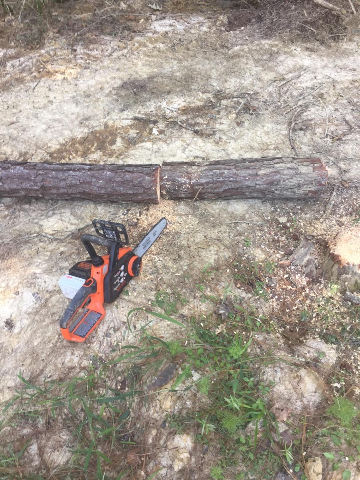 BLACK+DECKER 20V MAX Electric Chainsaw, 10 inch Cordless Chainsaw with Battery and Charger Included, Automatic Oiler, Low Kickback Power Chain Saws (LCS1020) customer photo 1