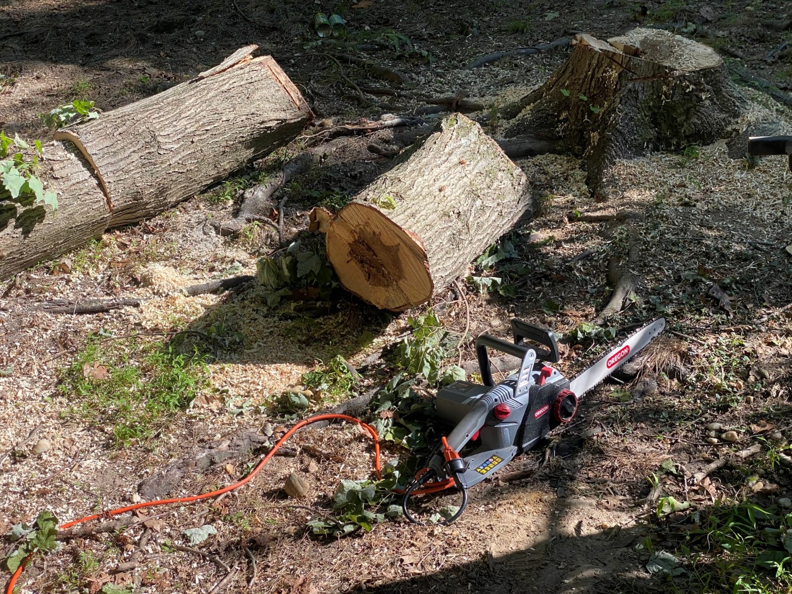 Oregon CS1500 Self-Sharpening Electric Chain Saw | Powerful, 15 Amp, Low Kickback, Self-Sharpening Integrated PowerSharp Chain, Automatic Oiler, 2-Year Warranty customer photo 1