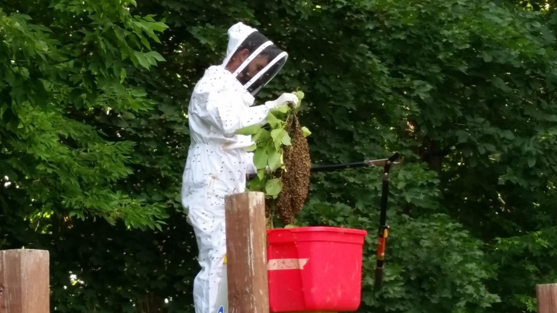 Humble Bee 411 Polycotton Beekeeping Suit with Fencing Veil customer photo 1