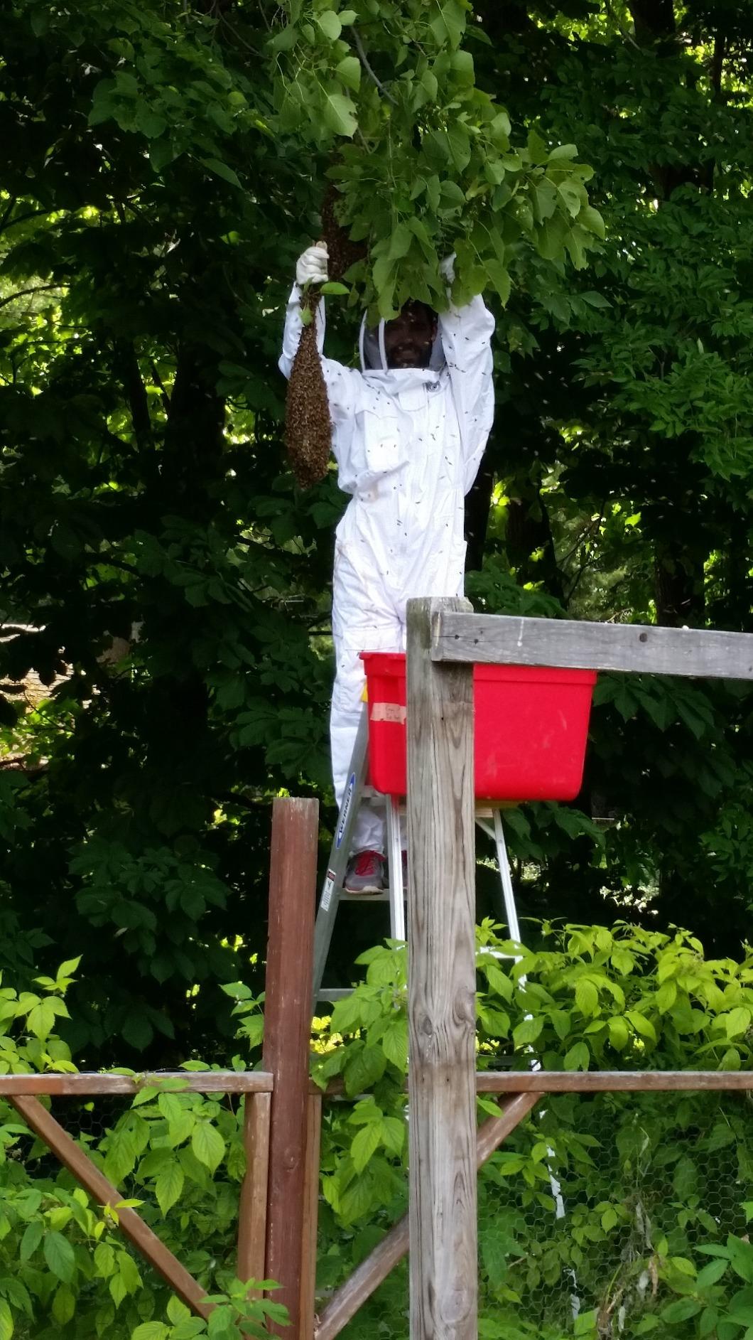 Humble Bee 411 Polycotton Beekeeping Suit with Fencing Veil customer photo 2