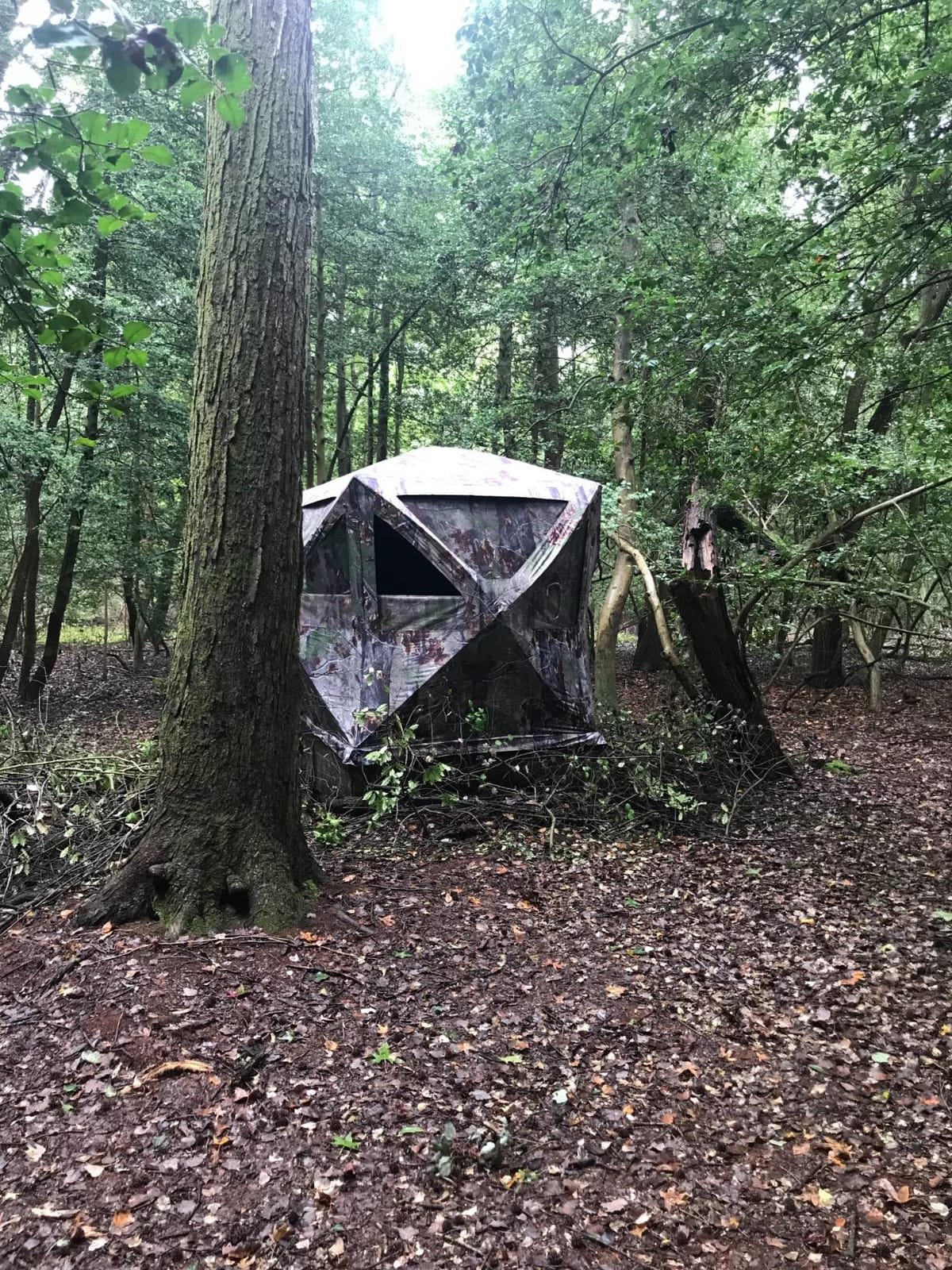 Barronett Big Cat Ground Hunting Blind, 3 Person Pop Up Portable, Backwoods Camo BC350BW customer photo 1
