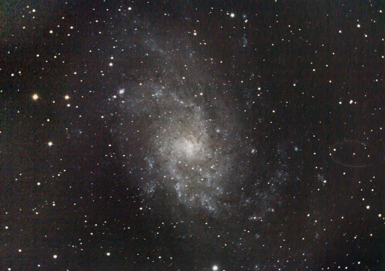 Celestron Equatorial Wedge for NexStar Evolution, SE & Origin Telescopes customer photo 2