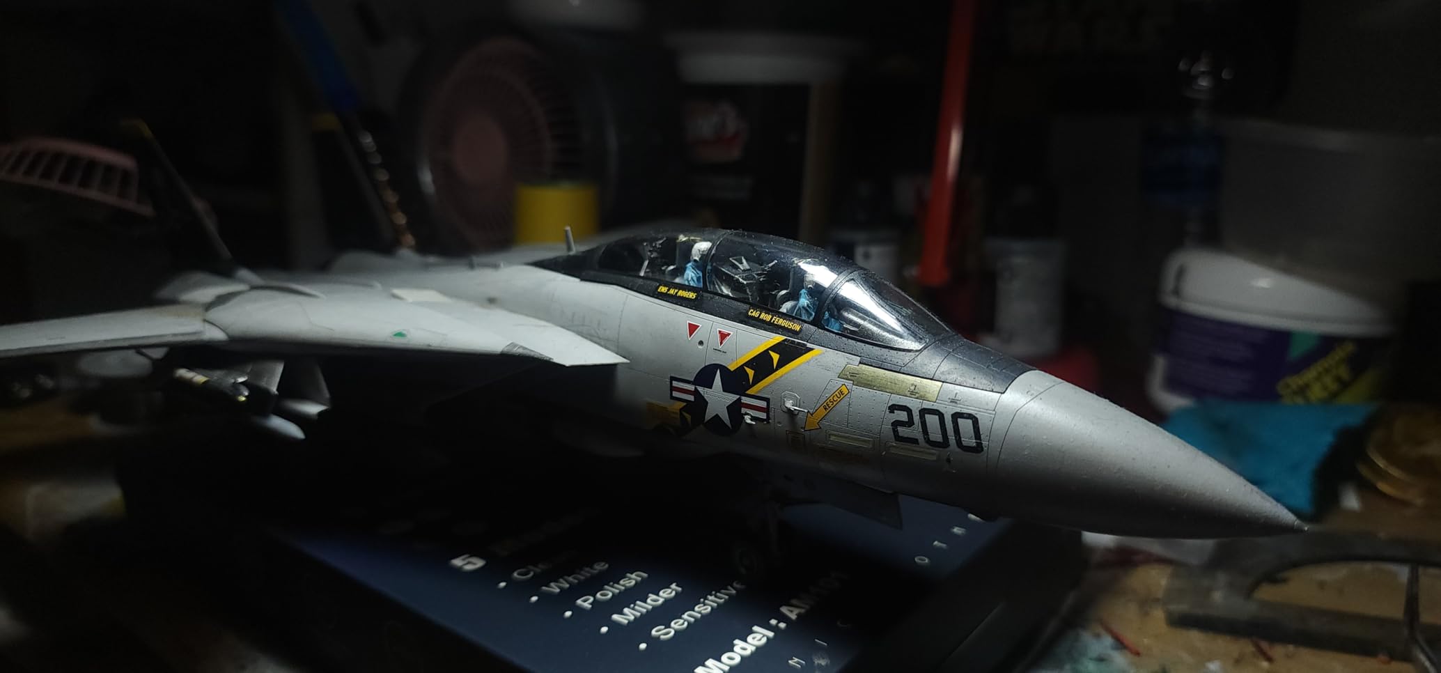 Tamiya 1:48 Grumman F-14A Tomcat Model Kit customer photo 1