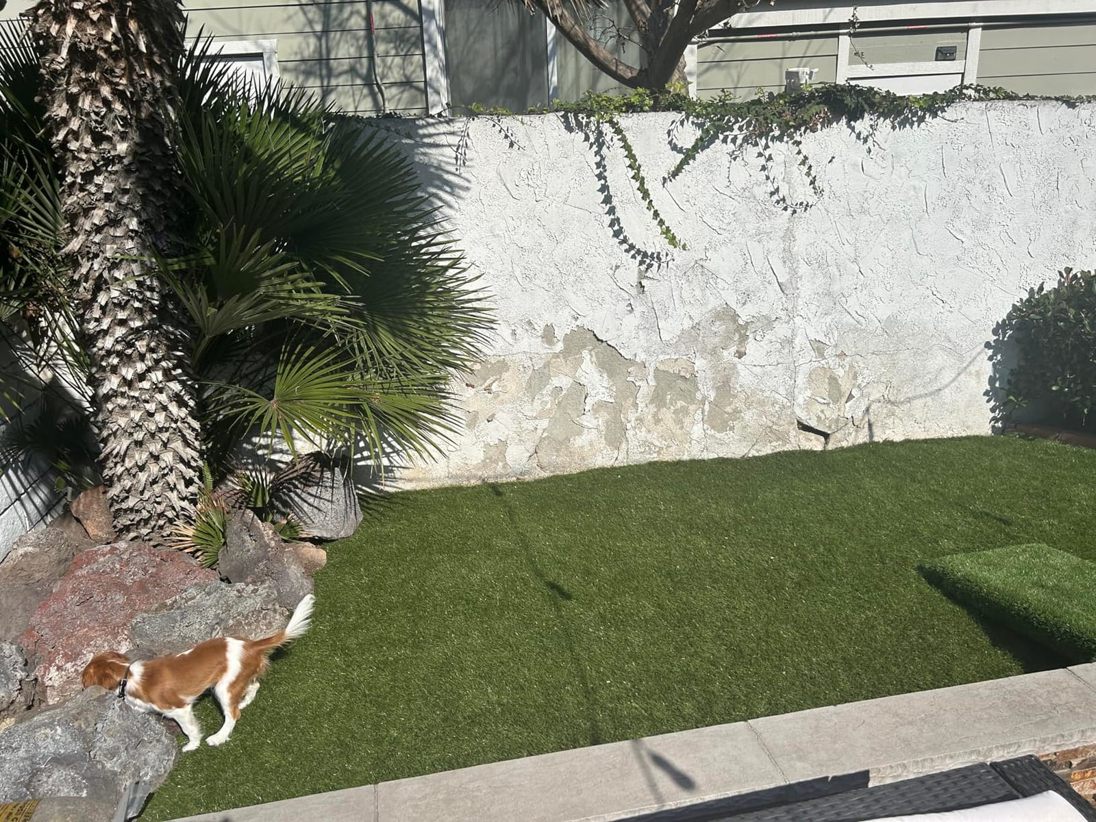 ALTRUISTIC Premium Artificial Grass Drainage Holes & Rubber Backing customer photo 2