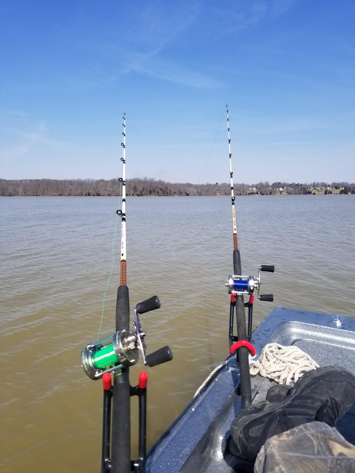 Lew's Laser XL Baitcast Fishing Reel, Right-Hand Retrieve, 4.2:1 Gear Ratio, 4 Bearing System customer photo 2