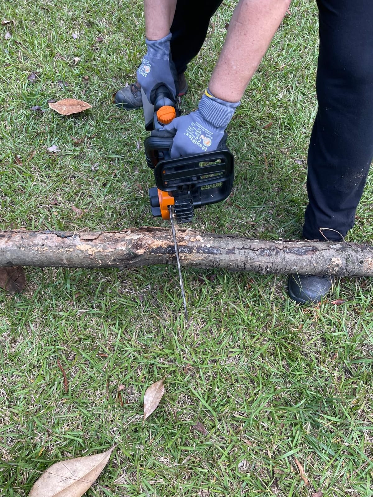 WORX Cordless Chainsaw with Auto-Tension, 20V 10