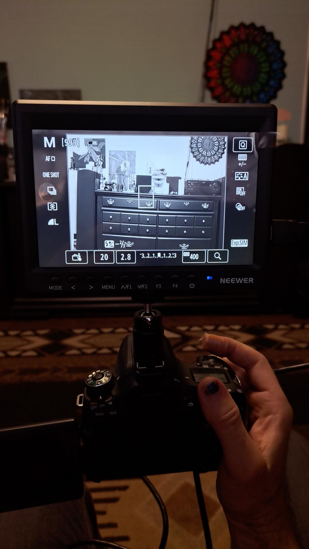 NEEWER F100 7inch Camera Field Monitor HD Video Assist IPS 1280x800 customer photo 1