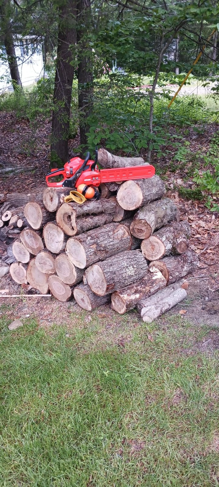 Echo CS-3410-16 30.5 cc Chainsaw with 16 in. Bar and Chain customer photo 2