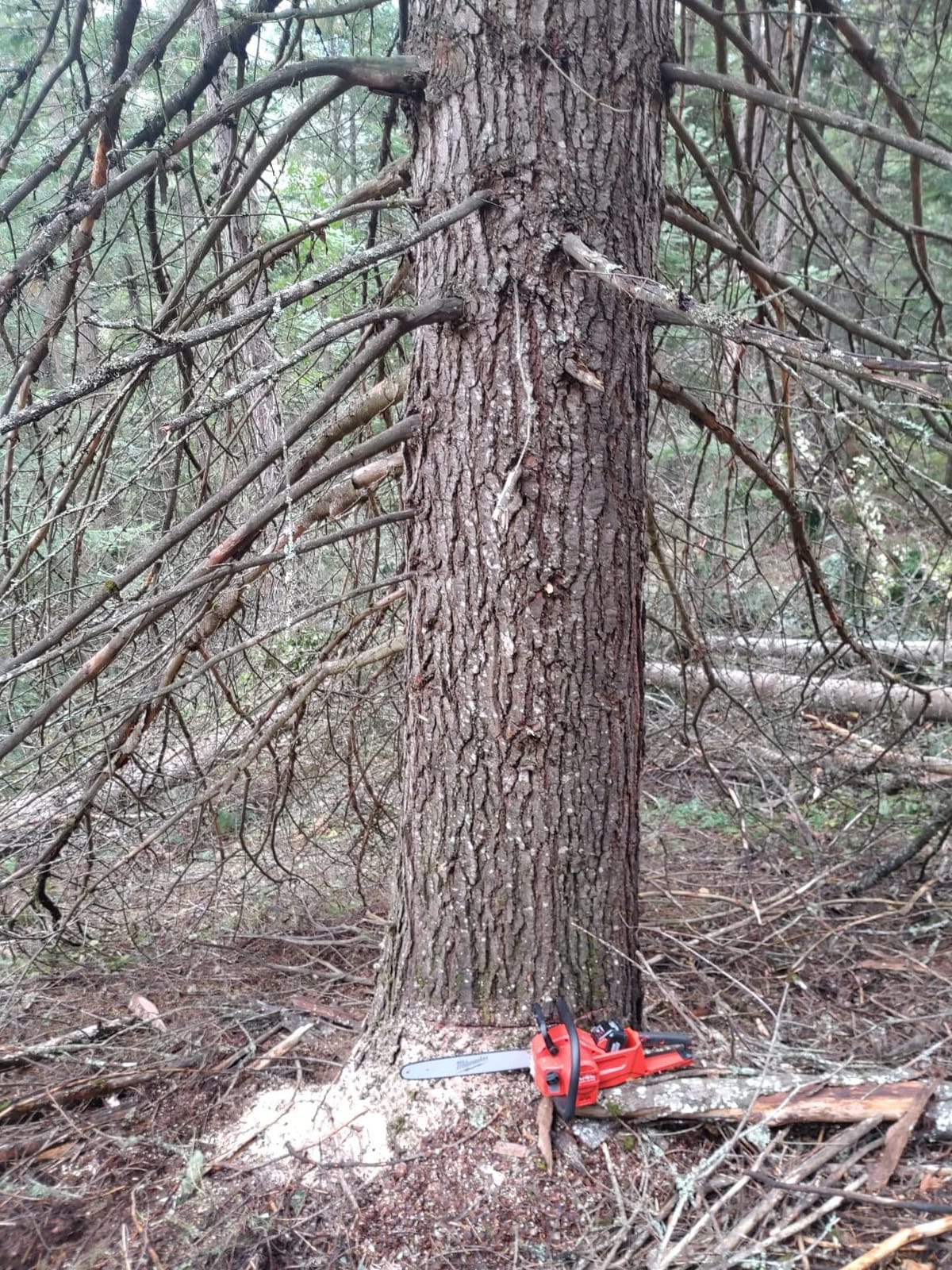 Milwaukee - M18 FUEL 16