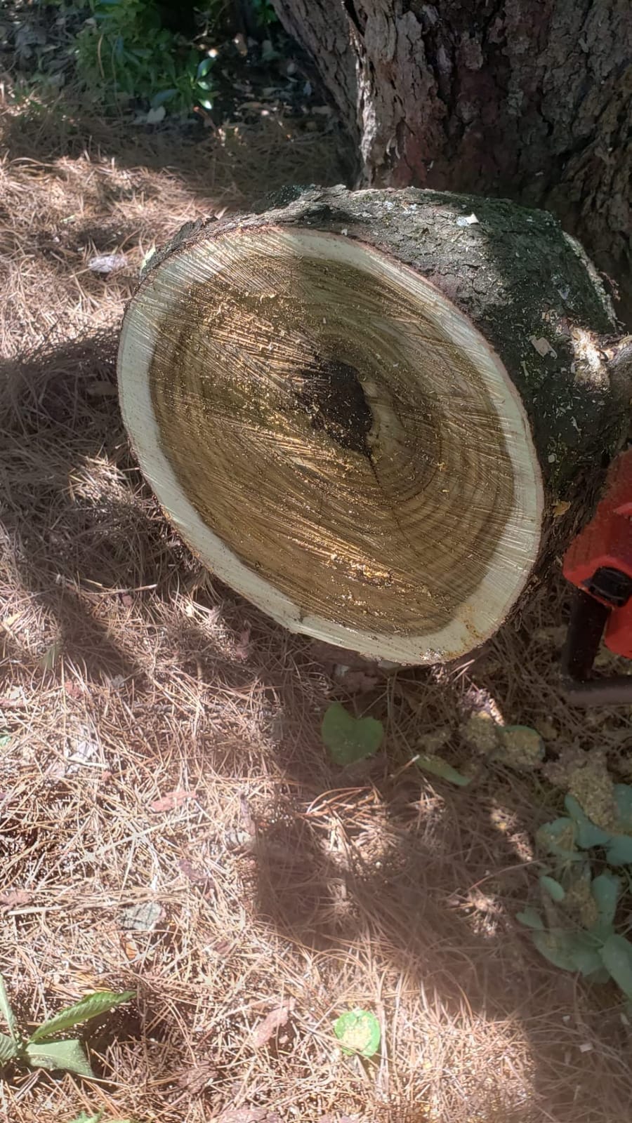 Milwaukee - M18 FUEL 16