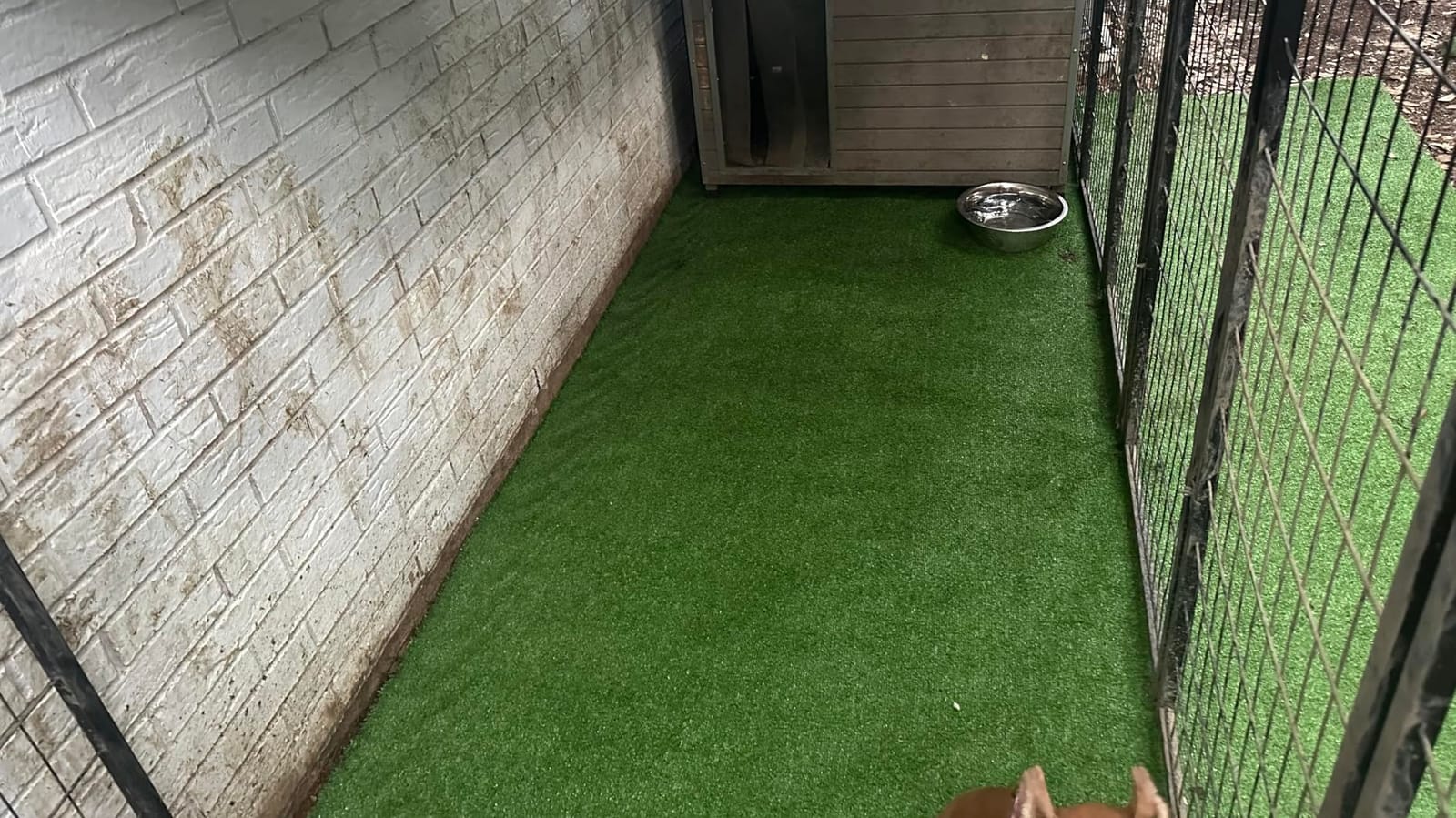 Goasis Lawn Artificial Grass Turf Lawn - 7FTX12FT(84 Square FT) Indoor Outdoor Garden Lawn Landscape Synthetic Grass Mat customer photo 1