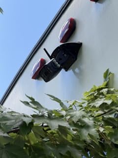 RV Backup Camera Wireless Plug and Play: Pre-Wired for Furrion Easy Install customer photo 1