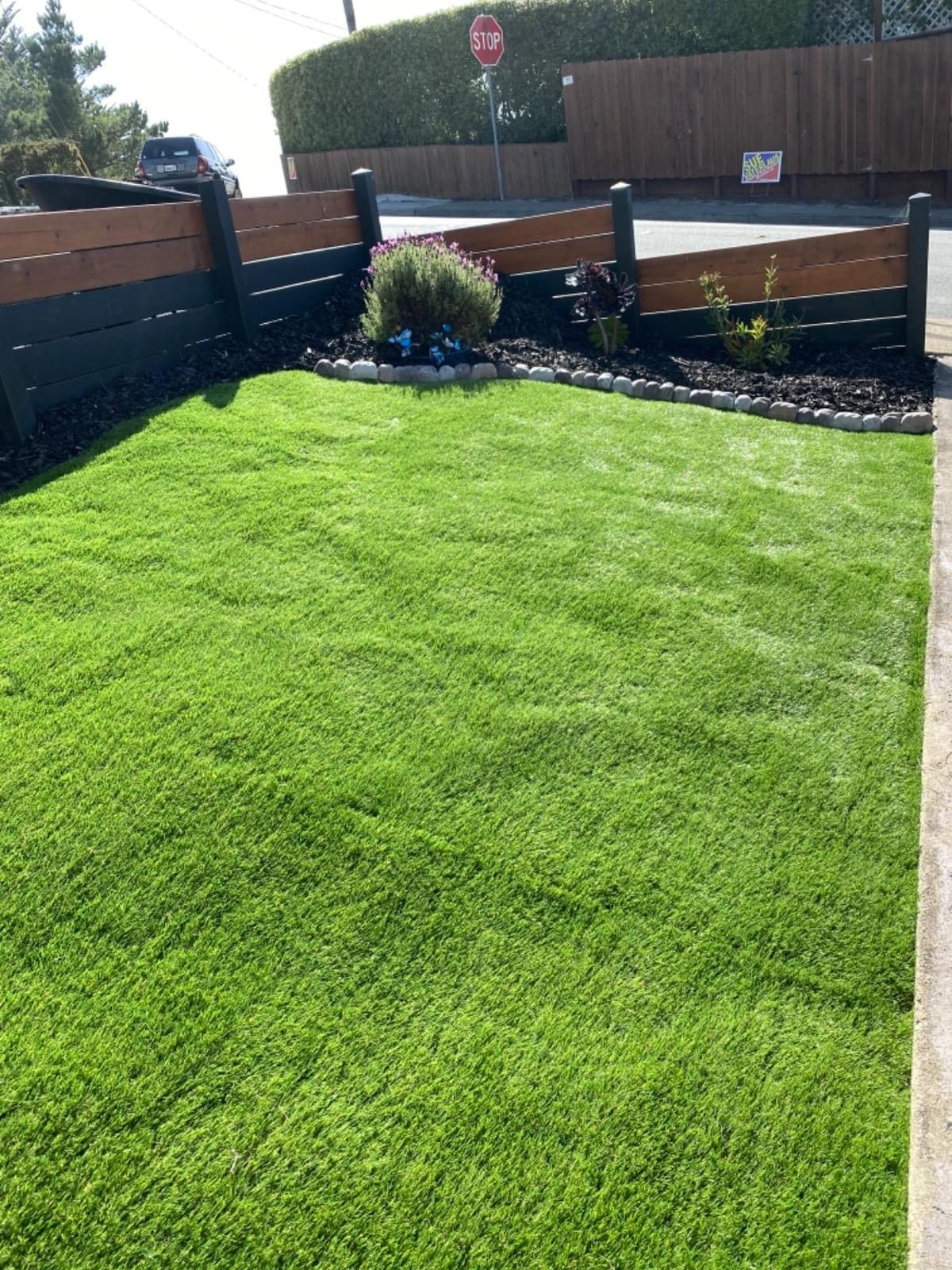 Petgrow 1.38Inch Realistic Artificial Grass Turf-5FTX10FT,Custom Size customer photo 2