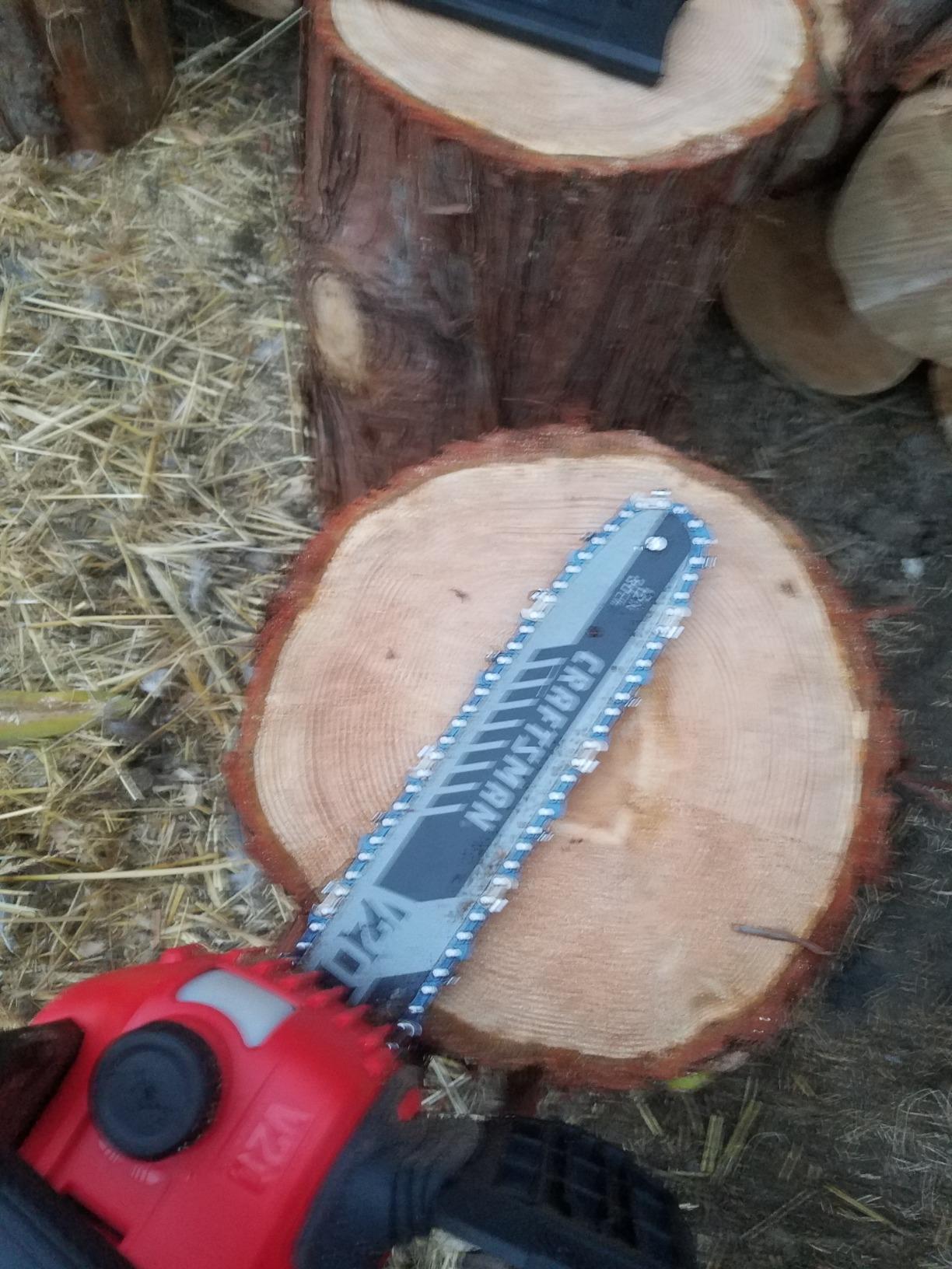 CRAFTSMAN V20 Cordless Chainsaw, 12-Inch Electric Chainsaw, Battery Powered, Battery and Charger Included (CMCCS620M1) customer photo 1