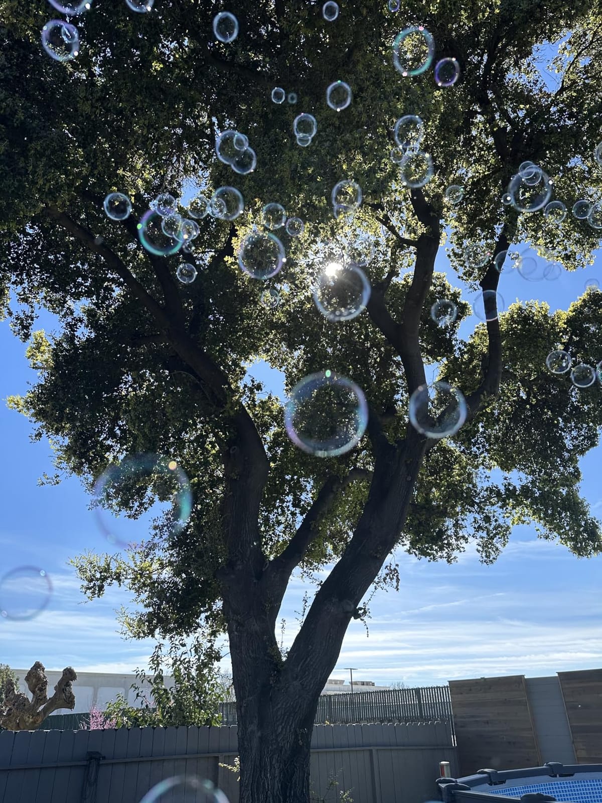 ATDAWN 1L High-Capacity Automatic Bubble Machine with 45ft Remote, Professional Metal Bubble Blower for Wedding Party Stage Event Indoor Outdoor Use customer photo 1
