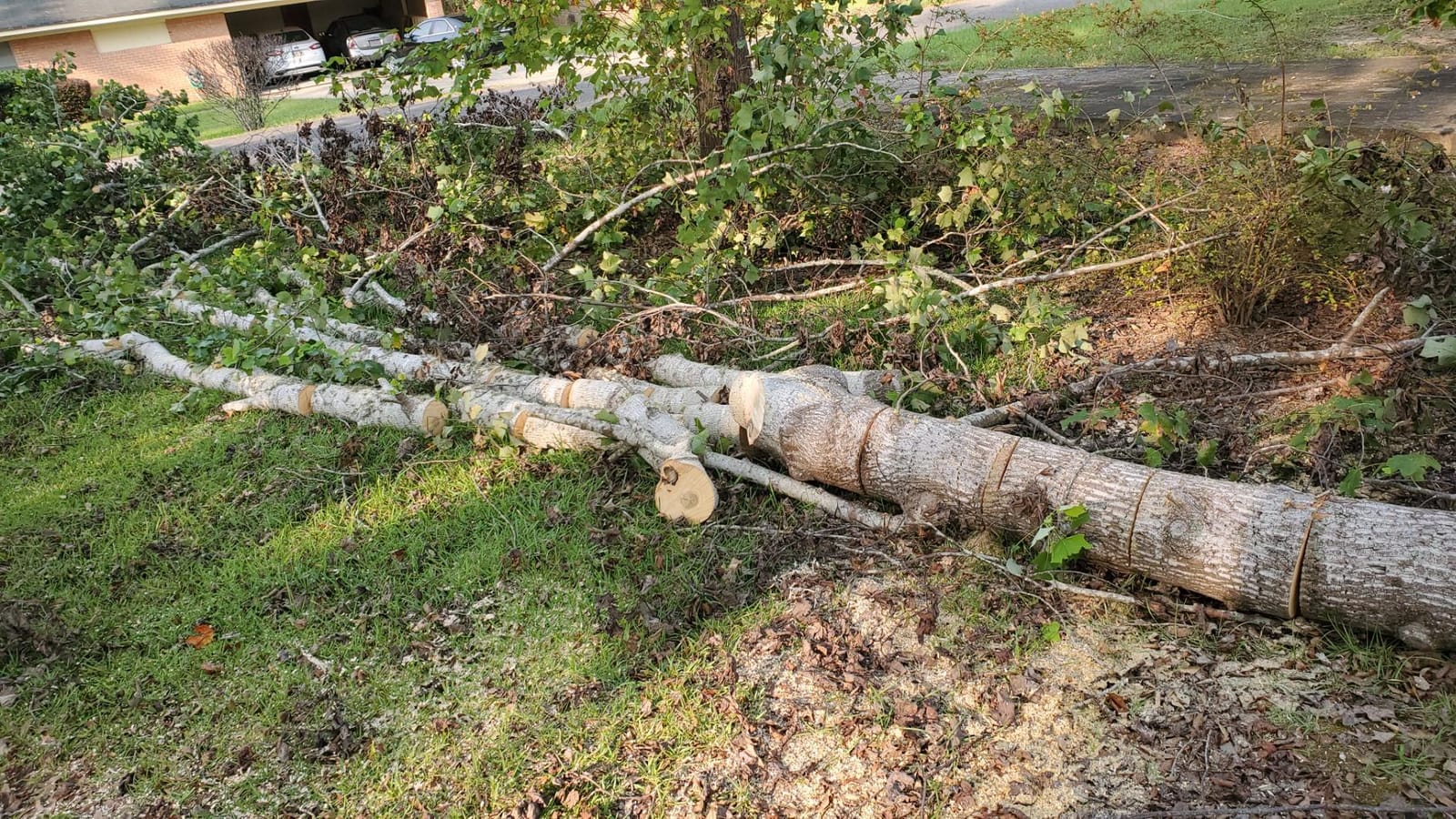 Husqvarna 130 Gas Powered Chainsaw, 16 Inch customer photo 1