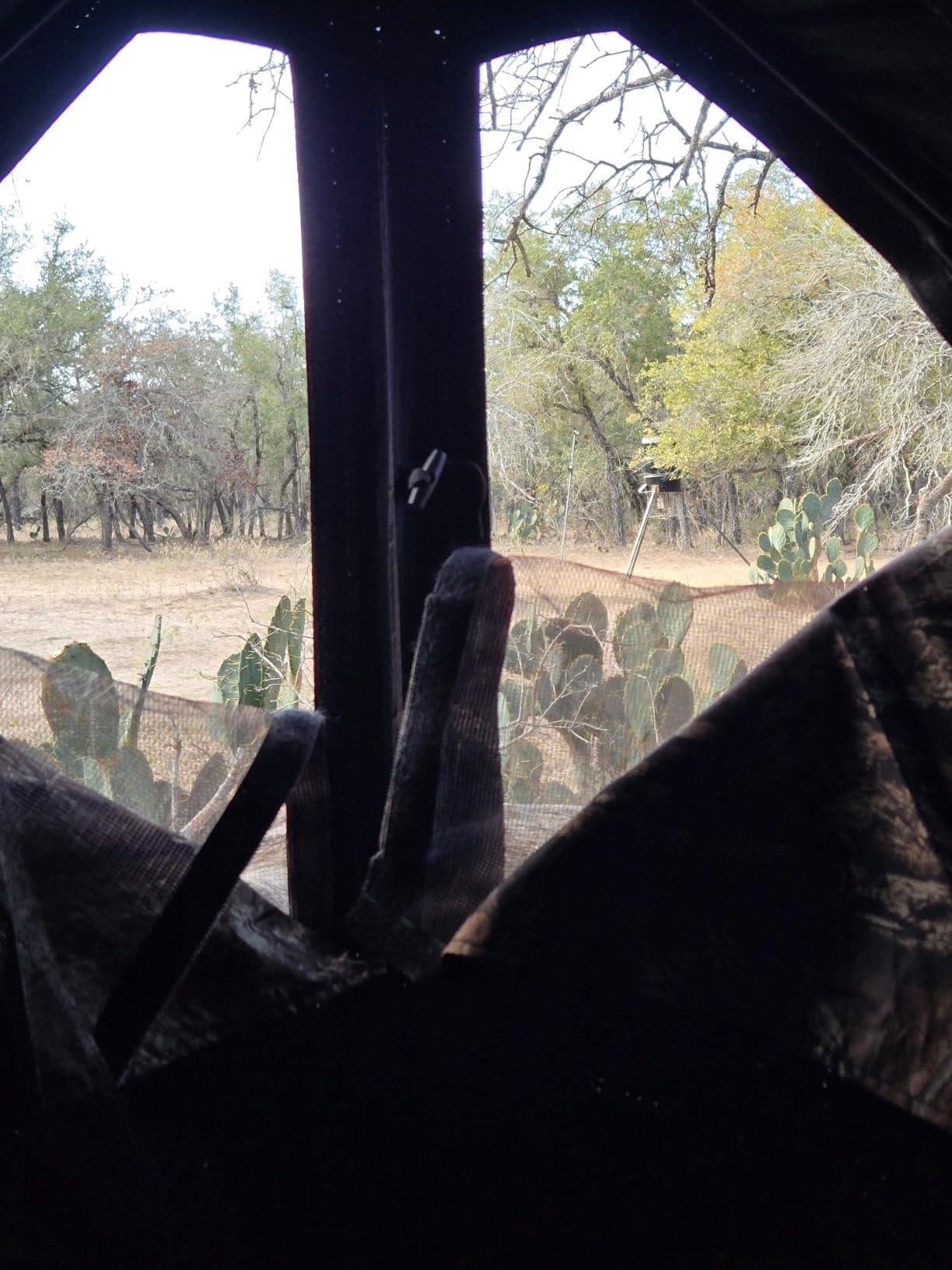 Ameristep Care Taker Ground Blind, Mossy Oak Break Up Country, Model: None customer photo 1