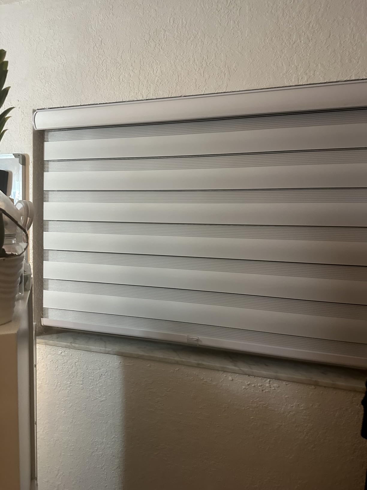 CHICOLOGY Zebra Blinds Cordless, Light Filtering, White Shade, 35W x 72H | Dual Layer Zebra Shade, Light Filtering for Windows, Cordless Child Safe, Inside Outside Mount, Bedroom Living Room customer photo 2