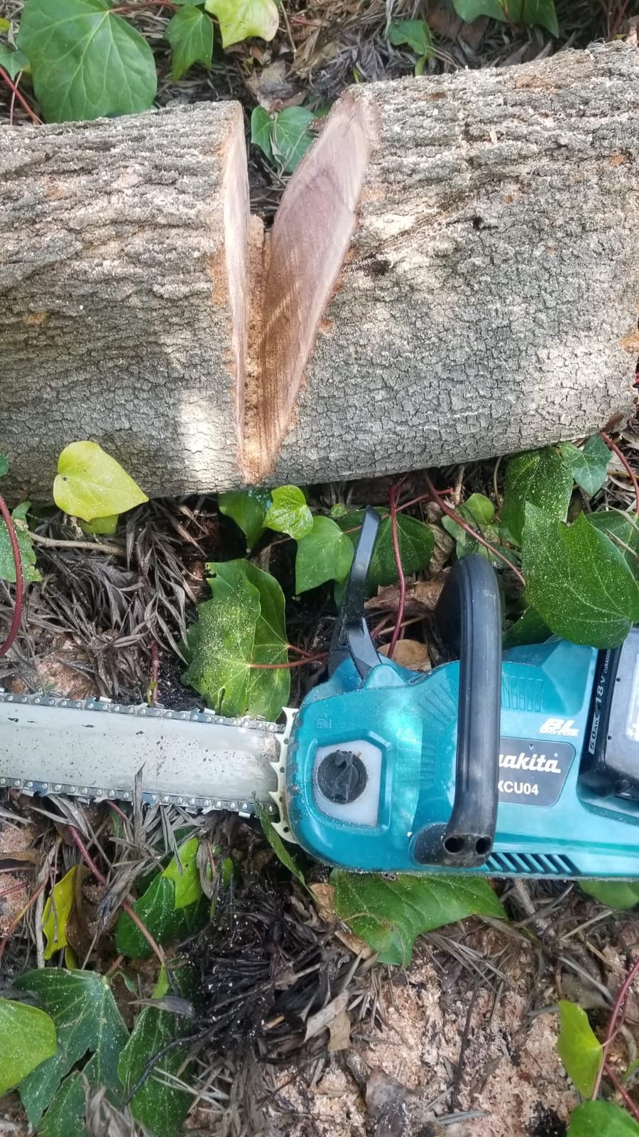 Makita XCU04PT1 36V (18V X2) LXT® Brushless 16