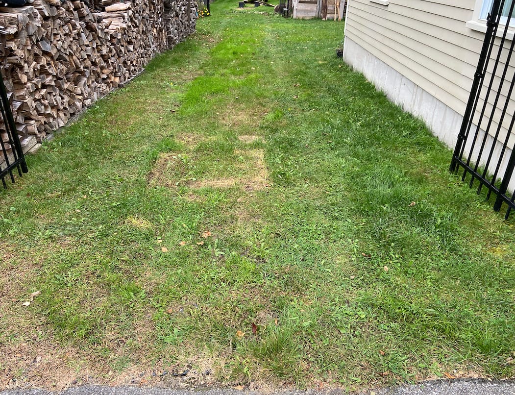 TRUEGRID | Root Grass Pavers | Designed as Outdoor Pavers for the Patio, Driveway, Walkways, Shed Bases, DIY Projects | 120,000 lb Load Class | Pack of 18 (72 Sq. Ft.) customer photo 1