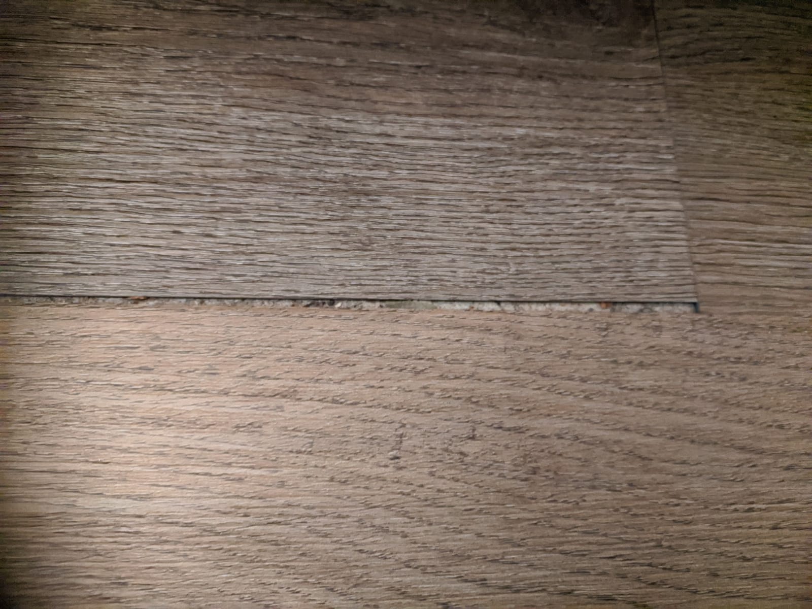Lucida Surfaces GlueCore 7.25x48in 22mil 3mm 39SqFt Glue Down LVP customer photo 2