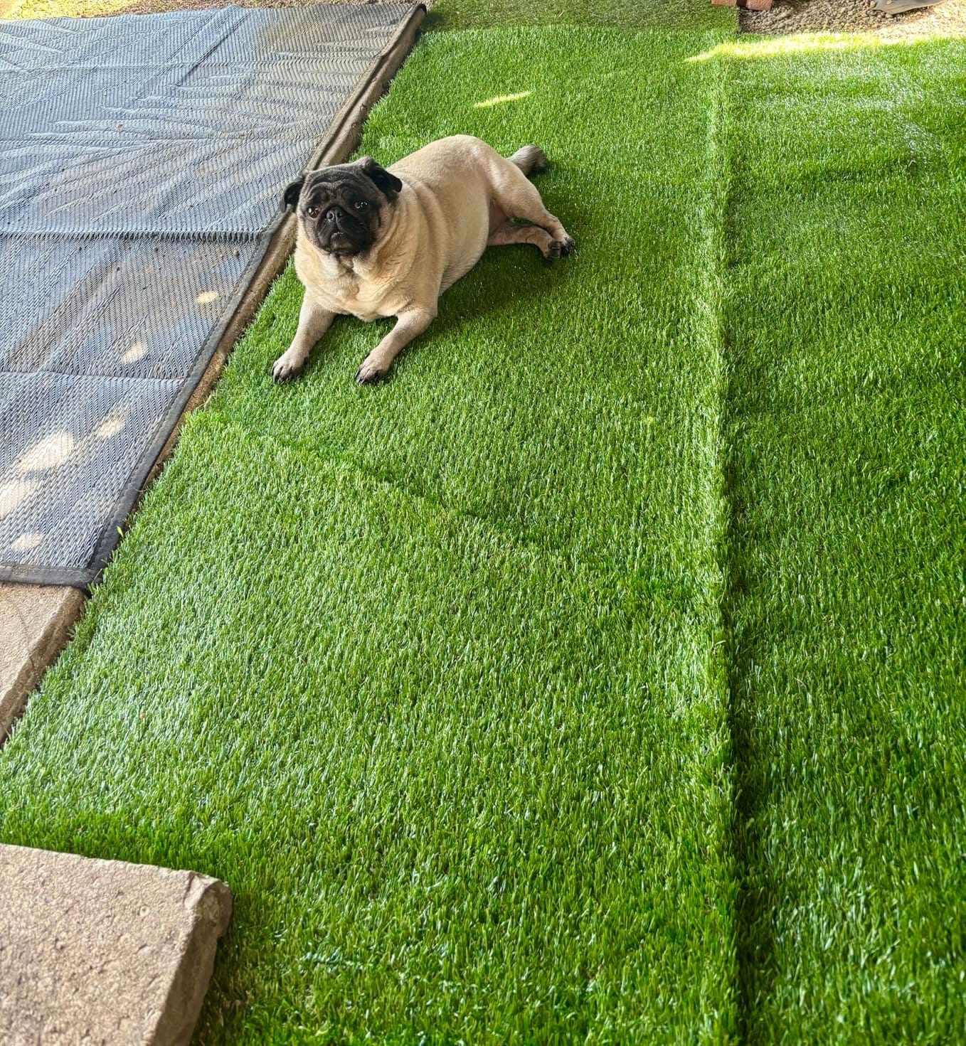 Premium Artificial Grass 3' x 8' Outdoor Rug, 1.38