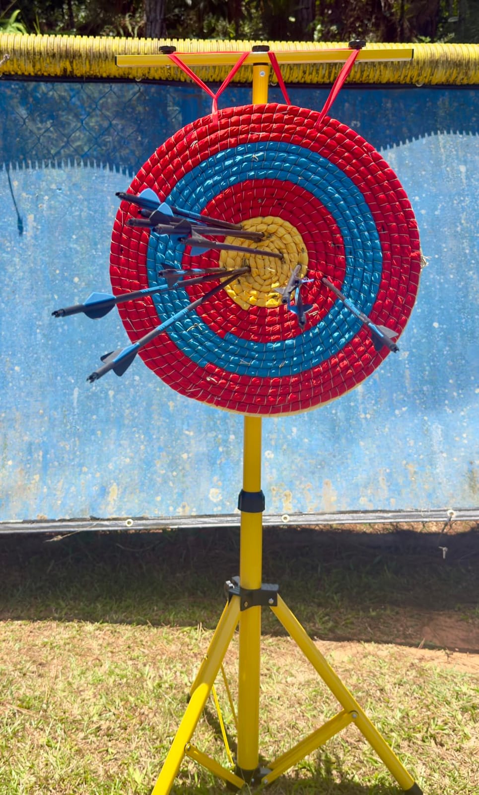 Sanlida Archery Dragon X8 RTH Compound Bow Package for Adults and Teens,18”-31” Draw Length,0-70 Lbs Draw Weight,up to IBO 310 fps,No Bow Press Needed,Limited Life-time Warranty,RH Only customer photo 1