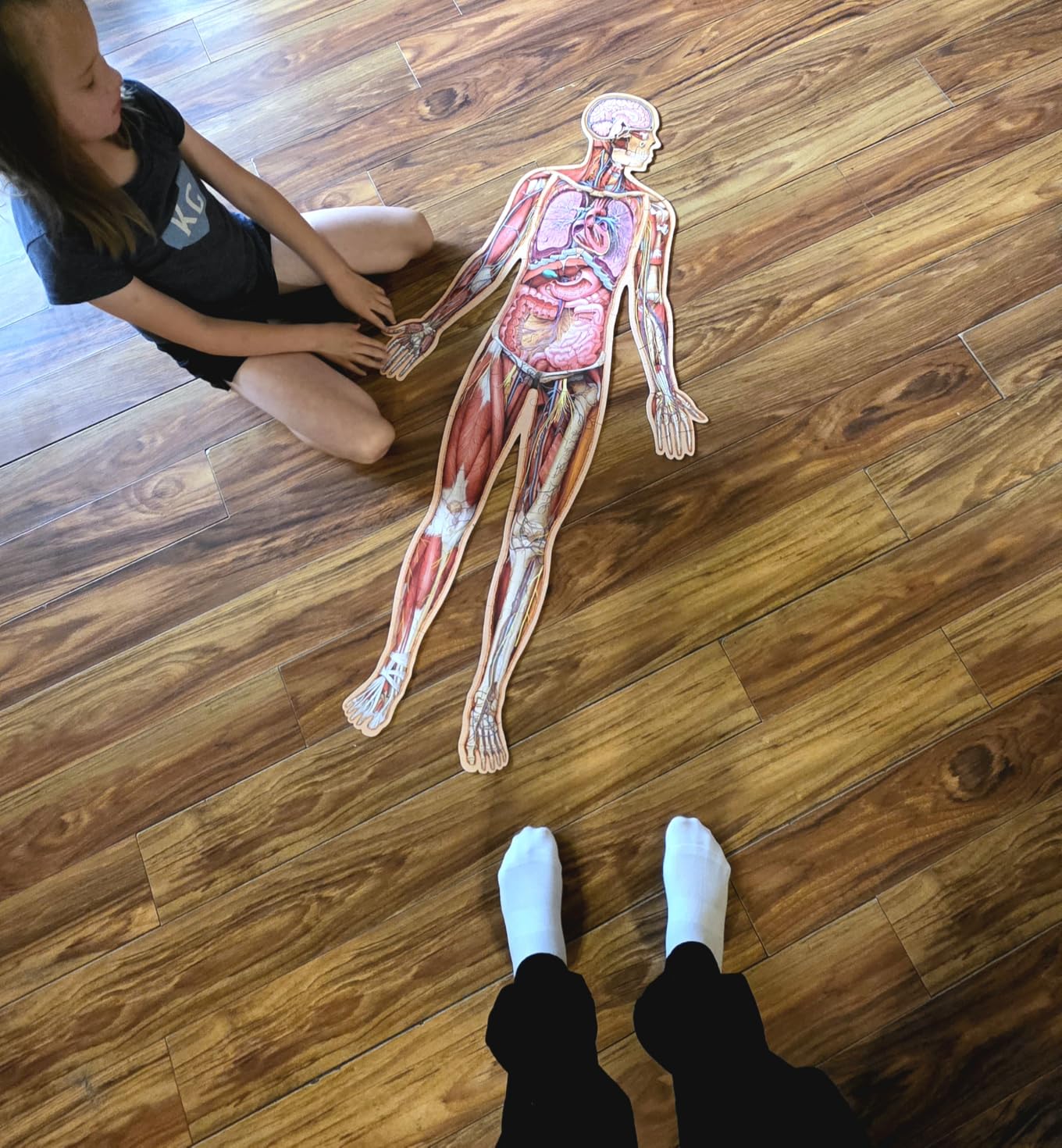 Human Anatomy Kids Floor Puzzle - Dr Livingston Jr's 100-Piece Full Body Jigsaw Puzzle - 4 FT Medically Accurate Floor Puzzles for Kids Ages 6-8, 4-8, 8-10 - Educational Toys for Children, Toddlers customer photo 1