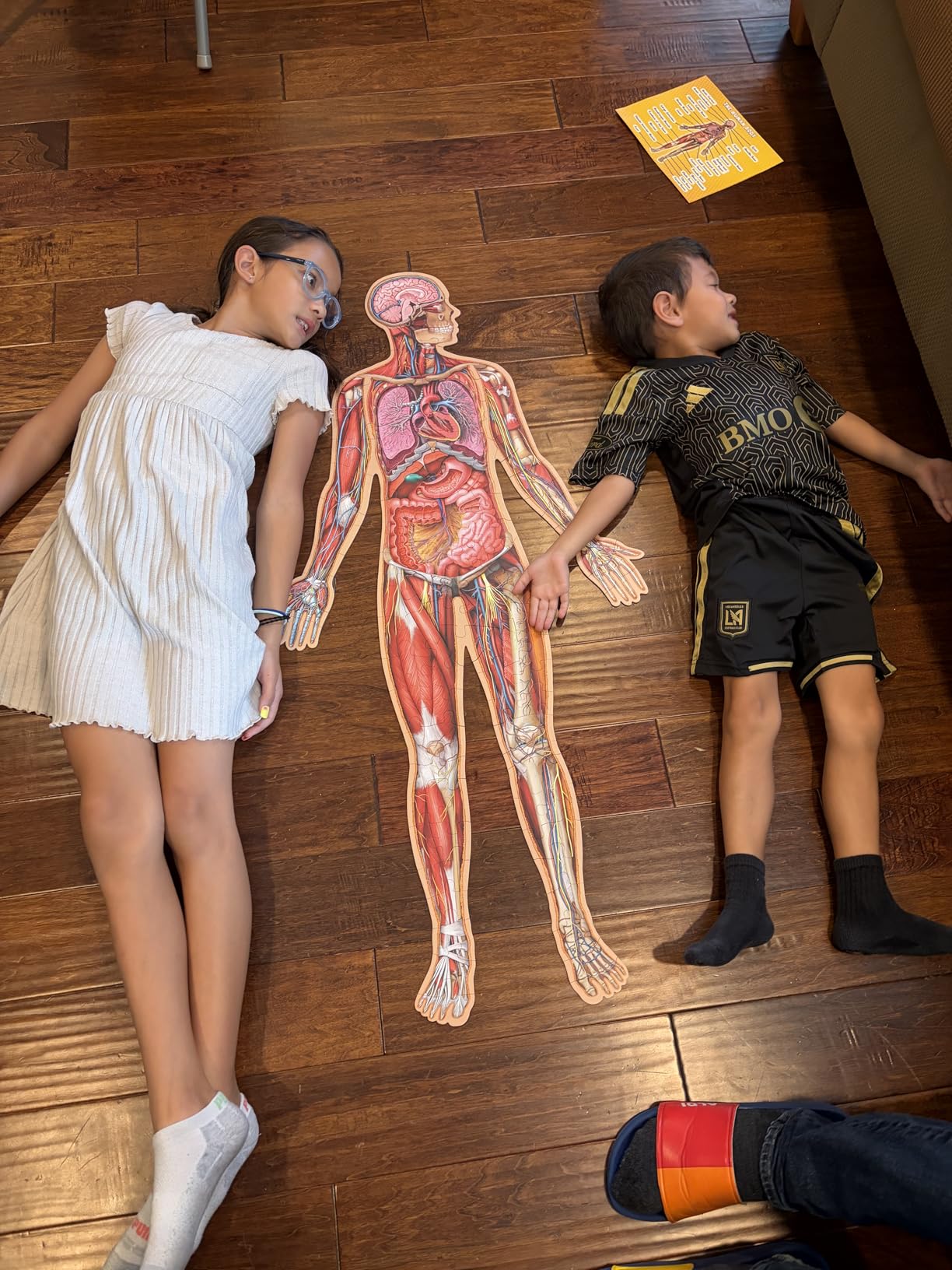 Human Anatomy Kids Floor Puzzle - Dr Livingston Jr's 100-Piece Full Body Jigsaw Puzzle - 4 FT Medically Accurate Floor Puzzles for Kids Ages 6-8, 4-8, 8-10 - Educational Toys for Children, Toddlers customer photo 2