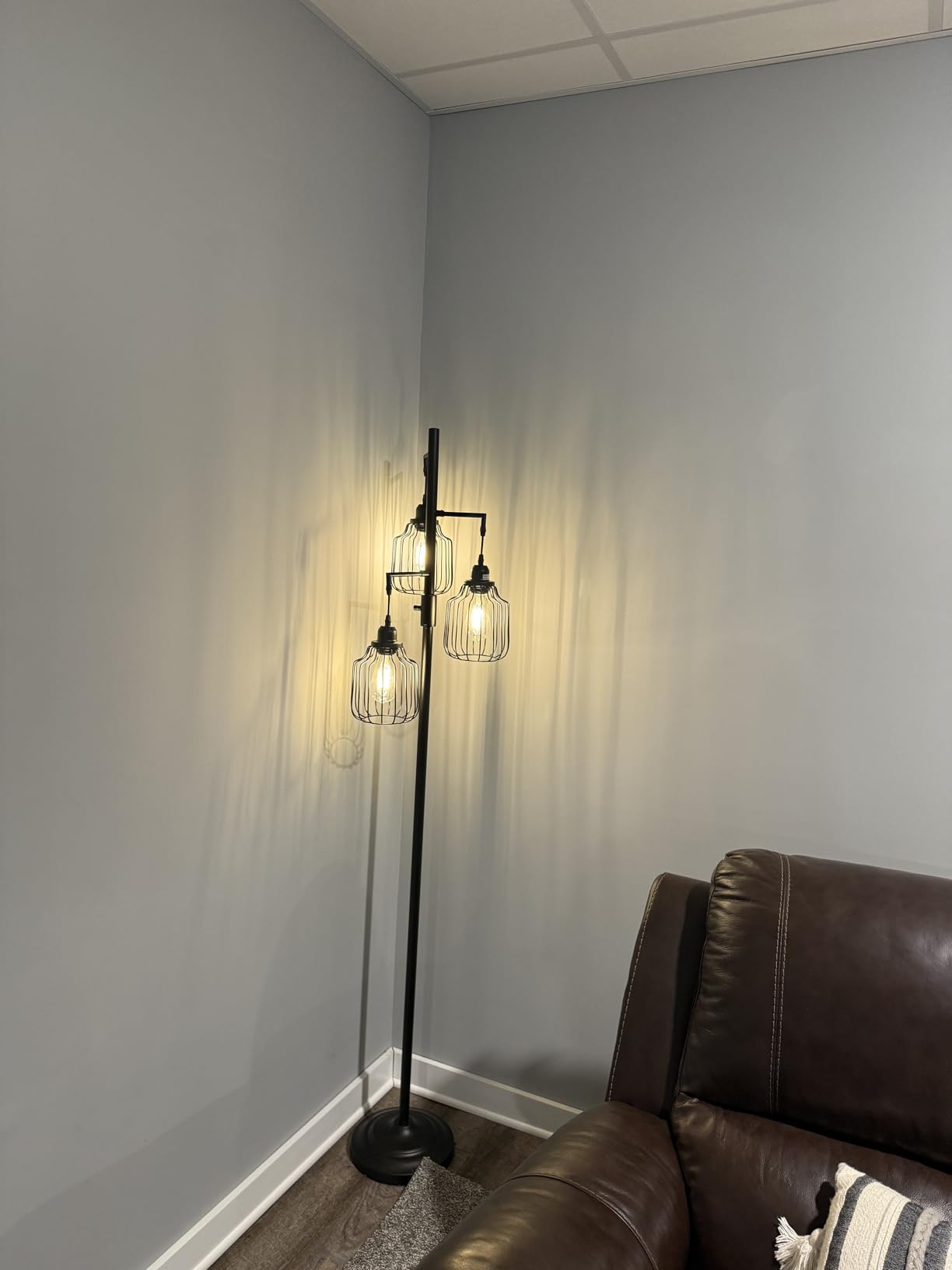 Bairth Dimmable Floor Lamp with 3 x 800LM LED Edison Bulbs for Living Room | Farmhouse Industrial Black Tree Floor Lamp, Bright Industrial Rustic Vintage Standing Pole Lamp with Cage for Bedroom Office customer photo 1