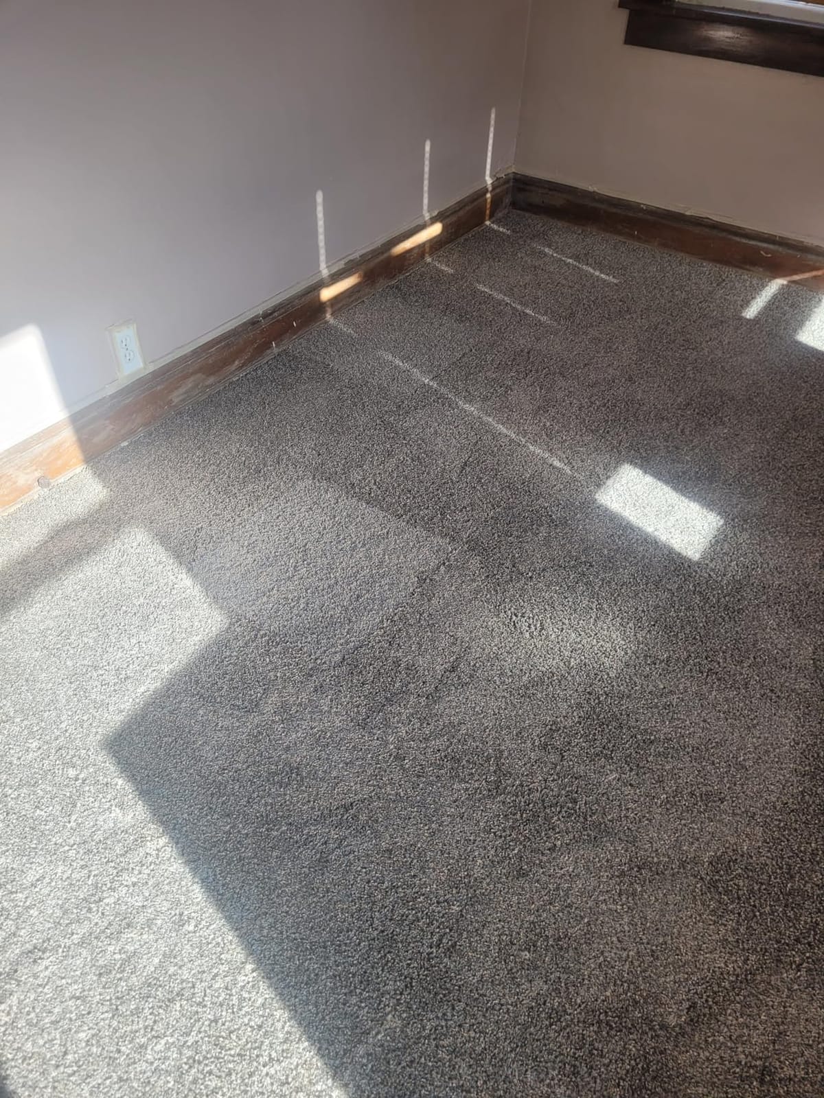 Eclipse Peel and Stick Carpet Tiles w/Attached Cushion, Easy DIY Install, Soft Residential Carpet, American Made, Seamless Appearance, Plush, Great for Area Rug (10 Tiles - 22.5 Square Feet, Sunset) customer photo 1
