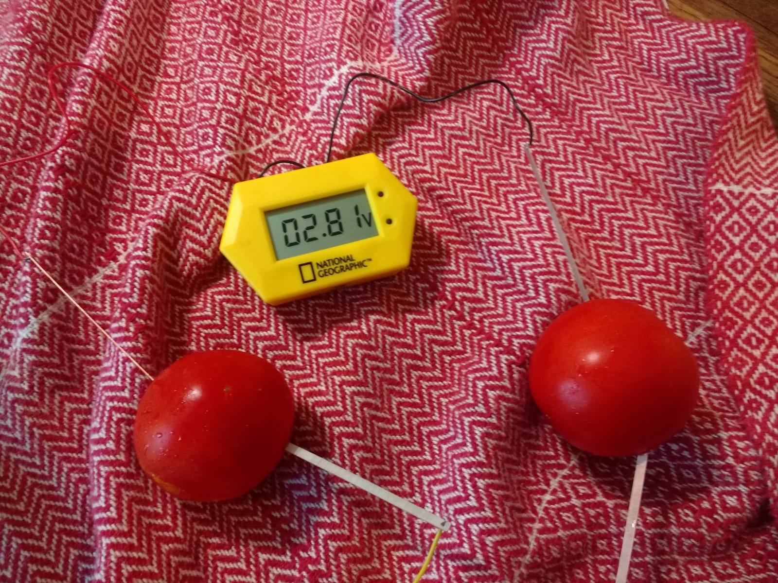 National Geographic Battery Making Science Kit with 2 STEM Projects | Potato Clock, Penny-Powered Flashlight, Electricity Experiments, Circuit Learning, Hands-On STEM Toy, Birthday Gift customer photo 2
