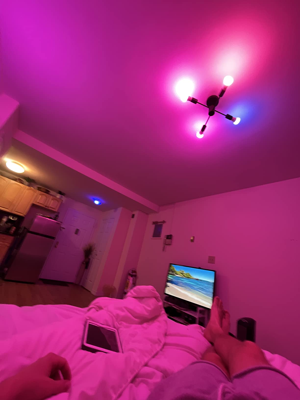Smart Light Starter Kit - Includes (1) Bridge and (4) 75W A19 E26 LED Smart White and Color Ambiance Bulbs - Control with App - Compatible with Alexa, Google Assistant, and Apple HomeKit customer photo 2
