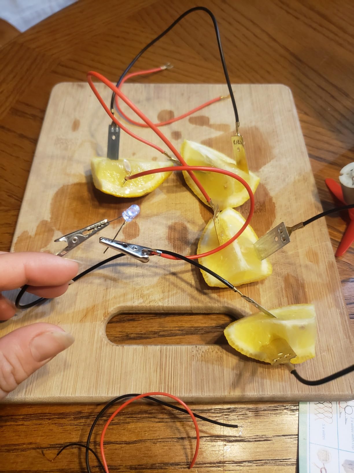 Sntieecr Fruit Battery Science Experiment Kit with Instruction | Potato Science Educational Kit for School Sciences Project, Kids DIY STEM Lab Experiments customer photo 1