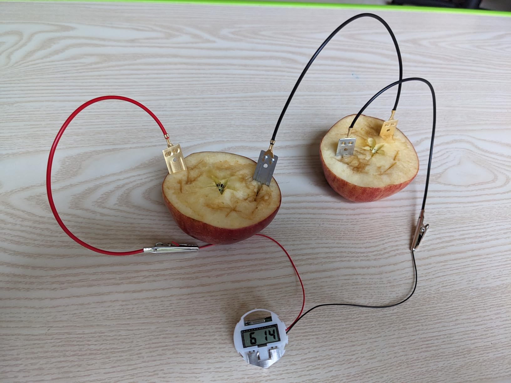Sntieecr Fruit Battery Science Experiment Kit with Instruction | Potato Science Educational Kit for School Sciences Project, Kids DIY STEM Lab Experiments customer photo 2