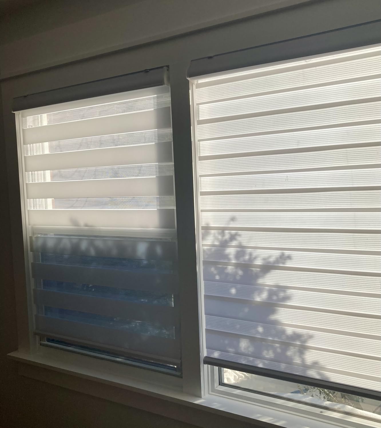 Joydeco Cordless Zebra Blinds for Indoor Windows, 35
