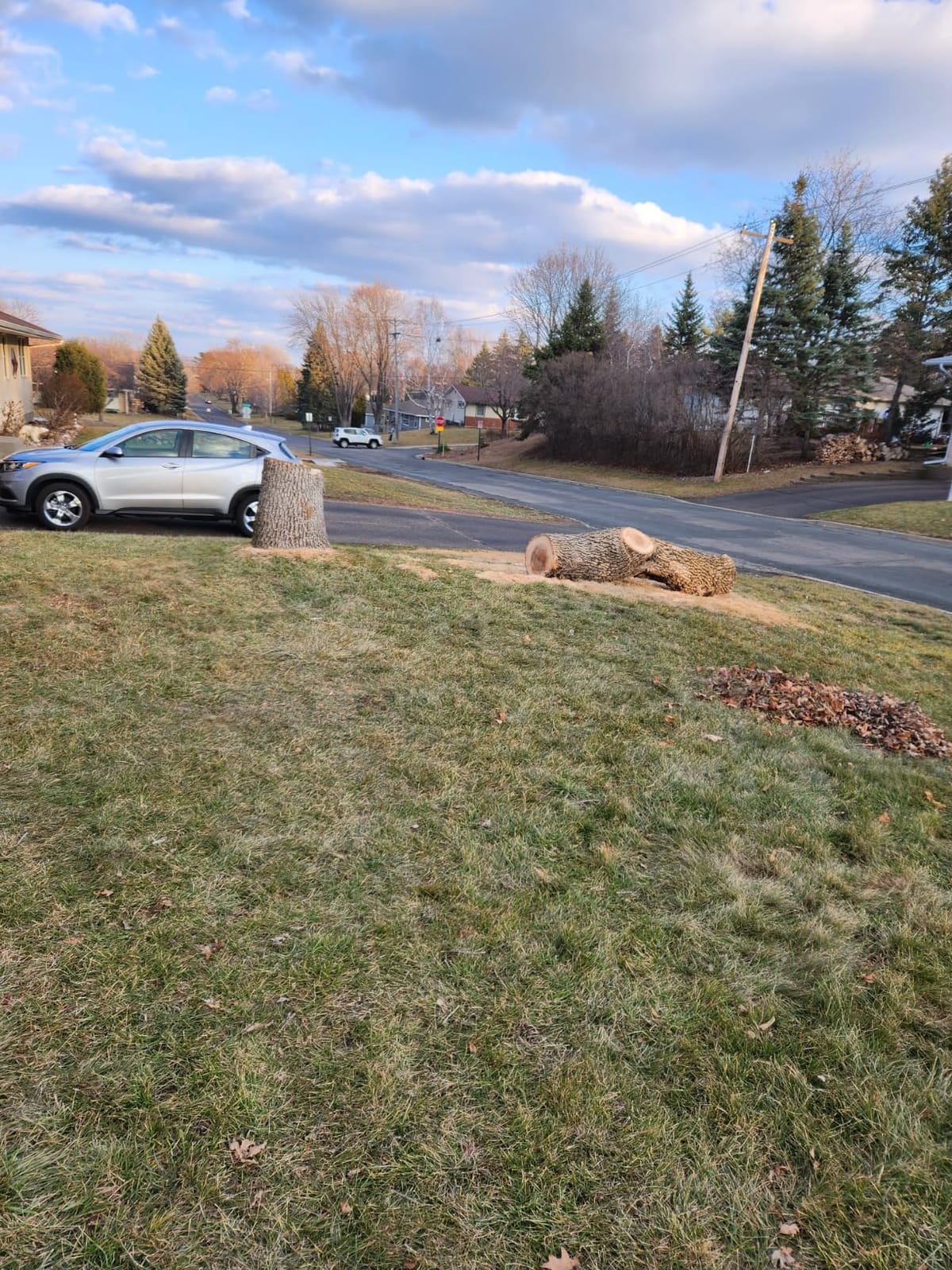 EGO POWER+ Chain Saw, 16” Battery Powered Chainsaw, Electric Cordless, Includes 56V 2.5Ah Battery and Charger – CS1611 customer photo 1