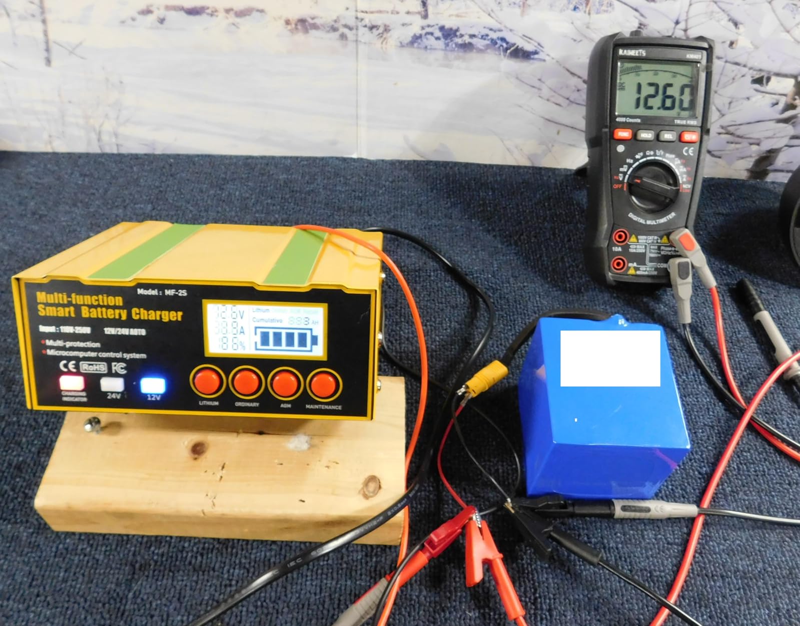 12-Amp Smart Battery Charger,Lithium,Lead-Acid(AGM/Gel/SLA) Pulse Repair Car Battery Charger,Trickle Charger,Maintainer/Deep Cycle Charger,12V/10A | 24V/7.5A for Automotive,Boat,Motorcycle,Lawn Mower customer photo 1