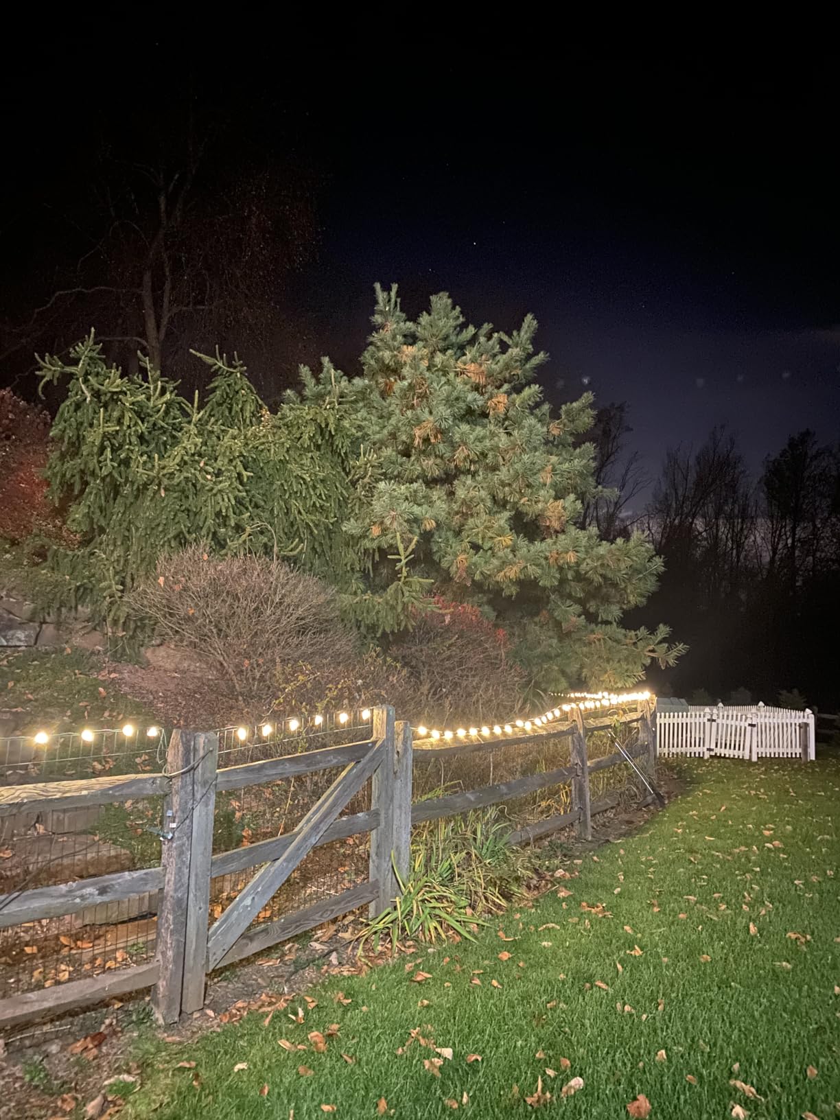 Brightown C9 Christmas String Lights, Commercial LED Outdoor Christmas Lights with 100 Strawberry C9 Bulbs, Waterproof Extendable UL Certified for Party Holiday Wedding Indoor Outdoor Xmas Decor customer photo 2