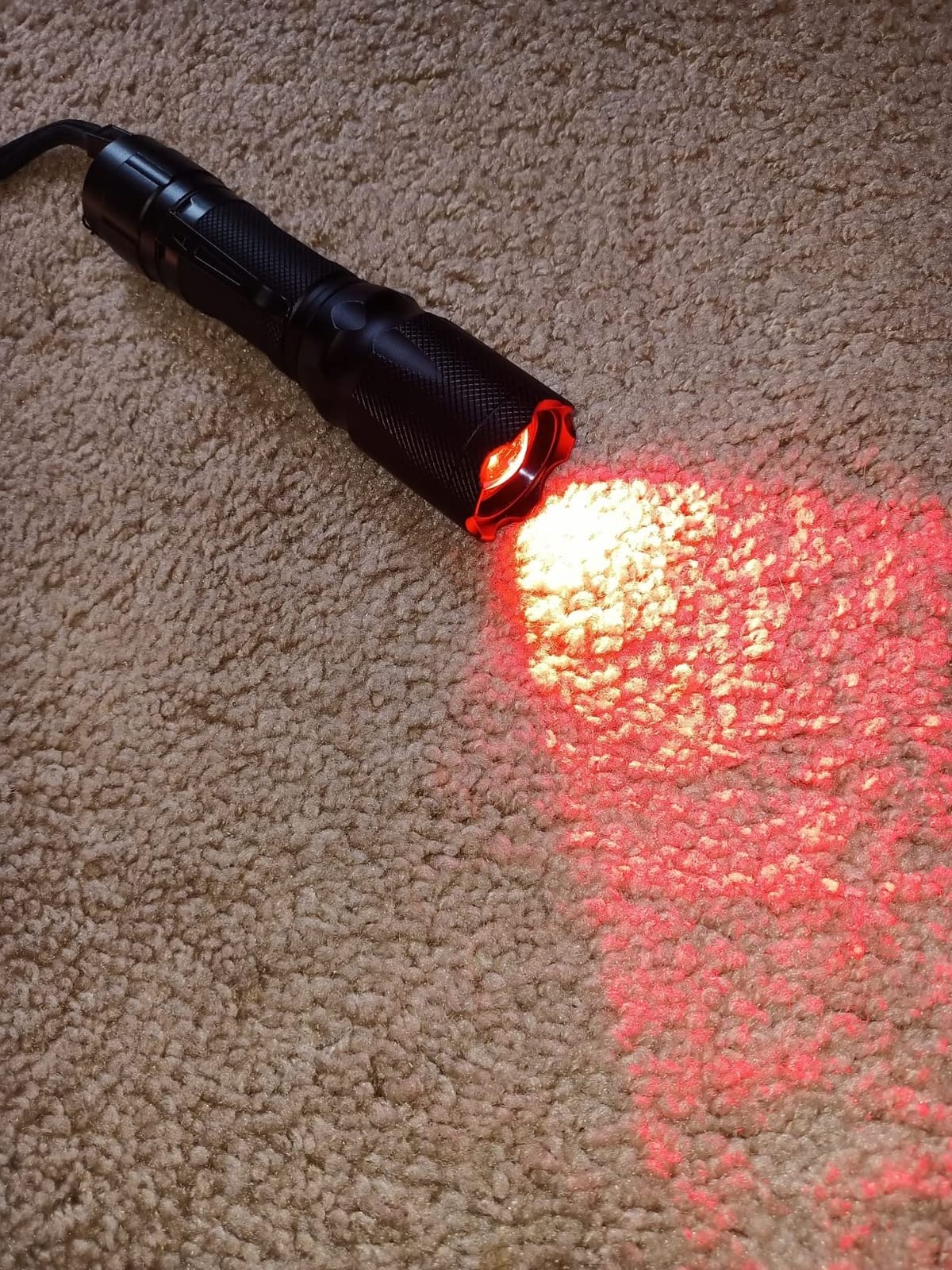 Upgraded Red Flashlight, Bright White & High/Low Power Red Light Options with Memory, Zoom Lens, Portable Weatherproof LED Small Torch for Aviation, Astronomy, Night Vision customer photo 1