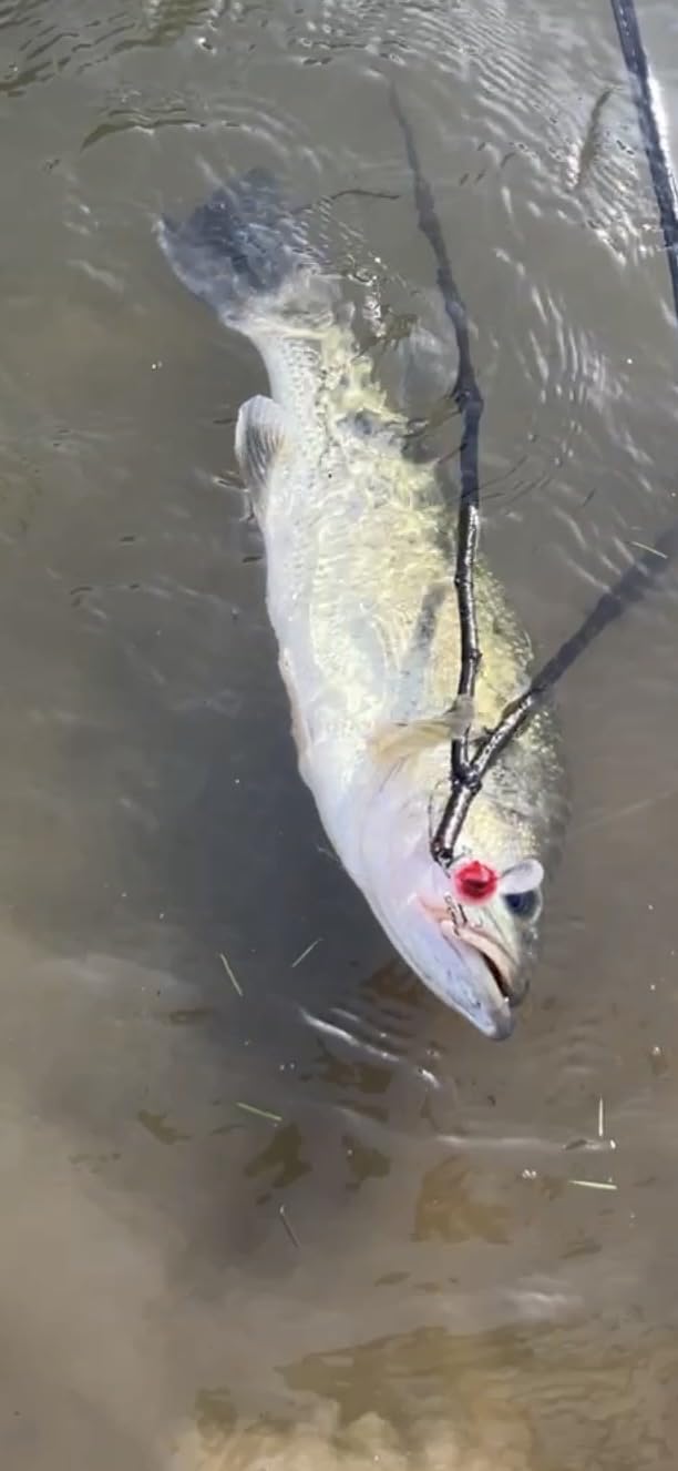OKUMATrout Rod customer photo 2