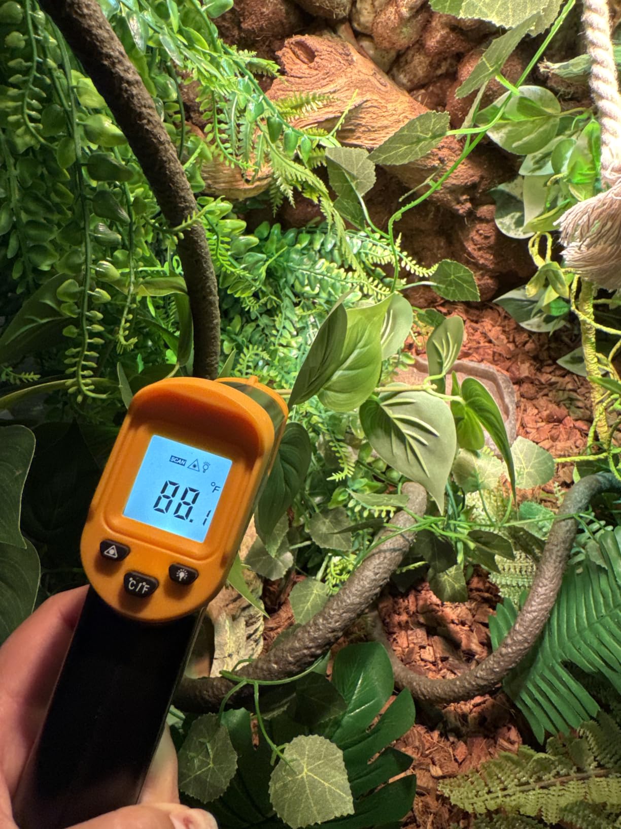 Digital Infrared Thermometer gun for cooking,BBQ,Pizza oven,Ir Thermometer with Backlight,-58℉~932℉(-50℃~500℃) Handheld Non Contact Heat Laser Temperature Gun (Not for Human) customer photo 1